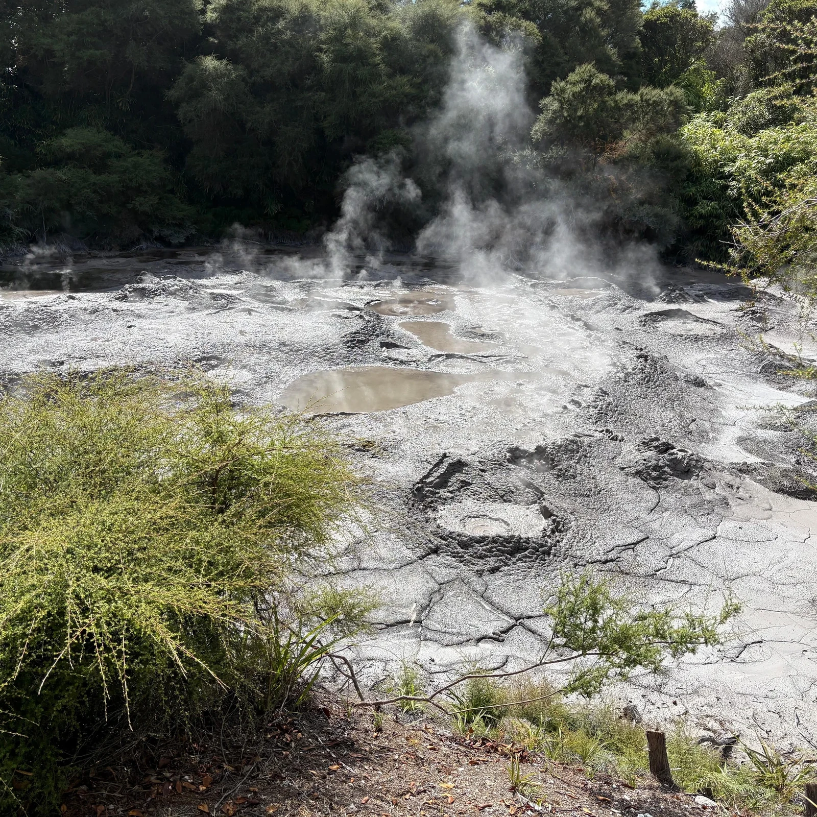 Geothermie und Māori-Kultur bei einer geführten Tour durch Te Puia