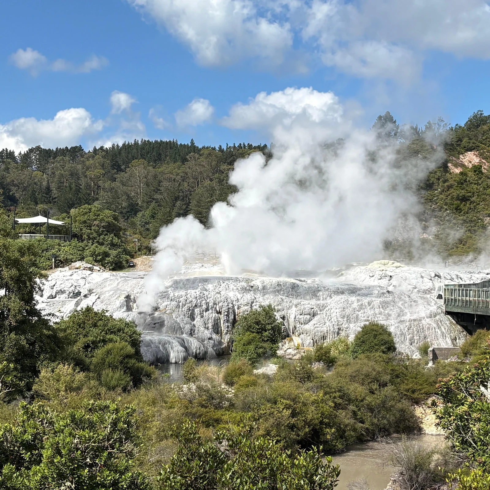 Geothermie und Māori-Kultur bei einer geführten Tour durch Te Puia