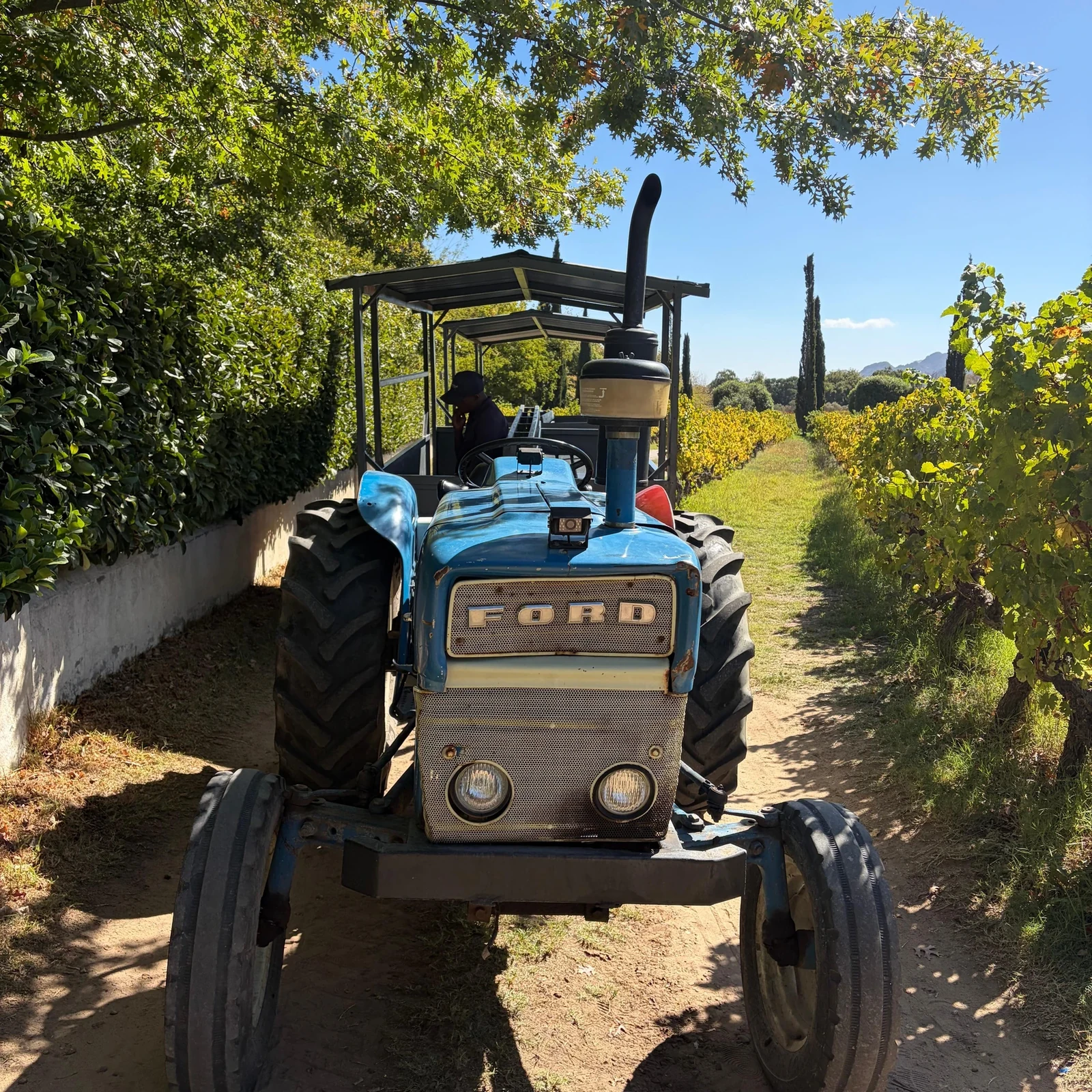 Explorez les domaines de Franschhoek sans prendre le volant