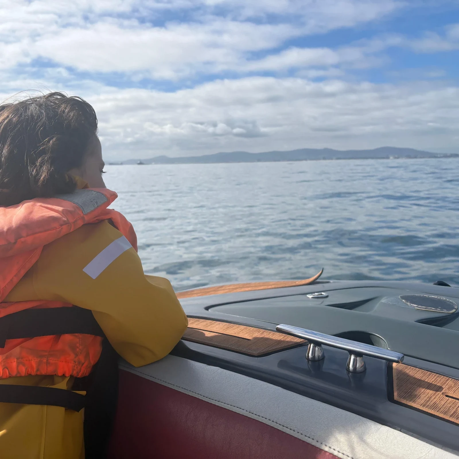 Partez à la recherche de la faune marine dans Table Bay