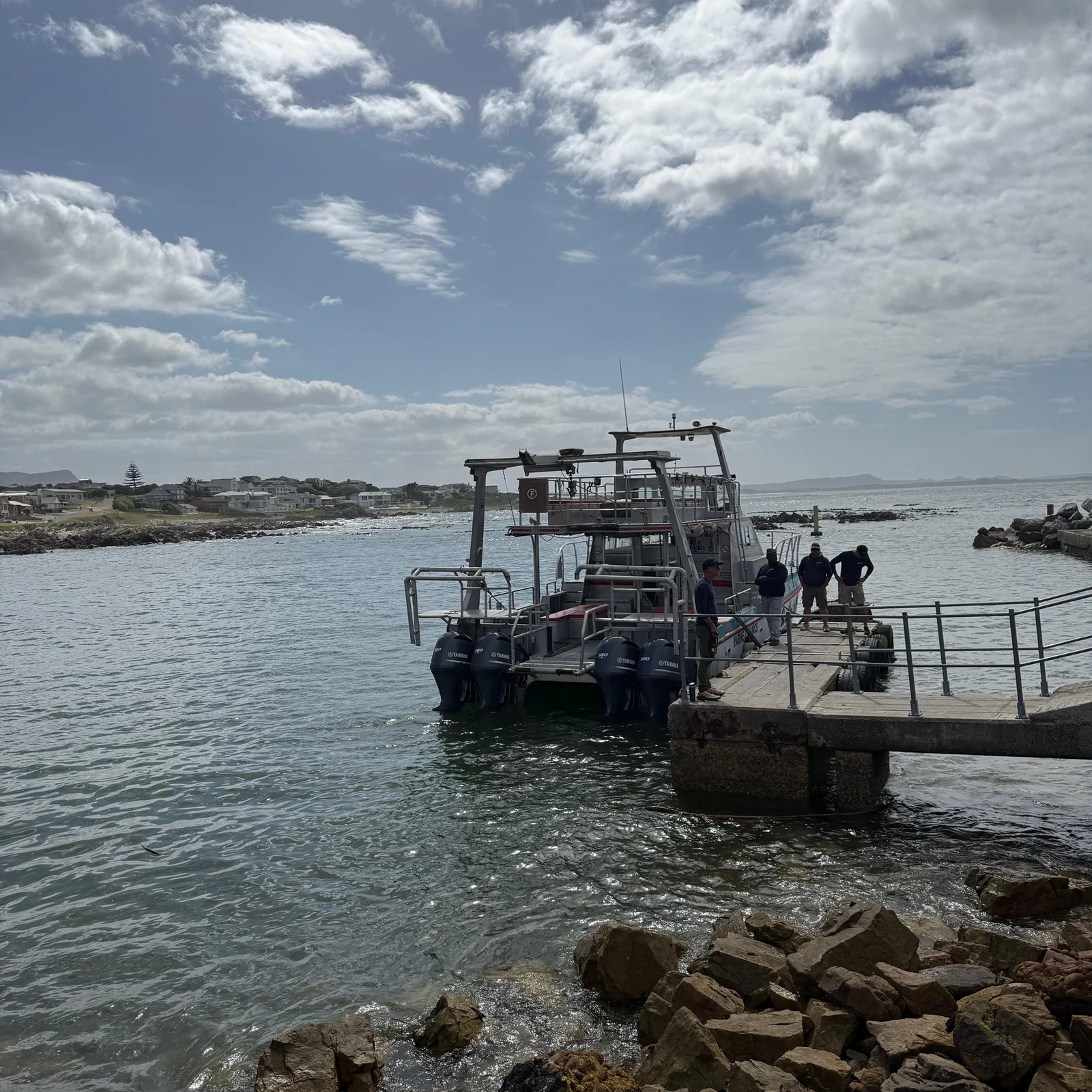 Suche vor Gansbaai nach den Marine Big 5