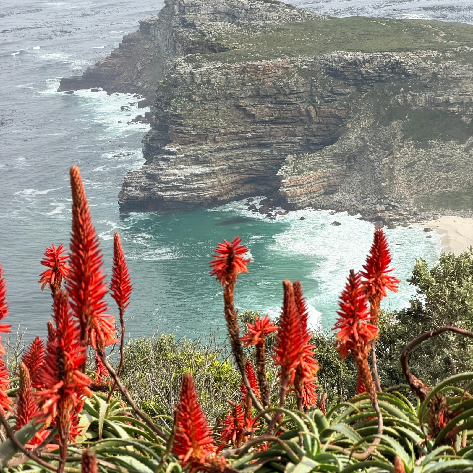 Cape Point, paysages côtiers et manchots en une journée depuis Le Cap