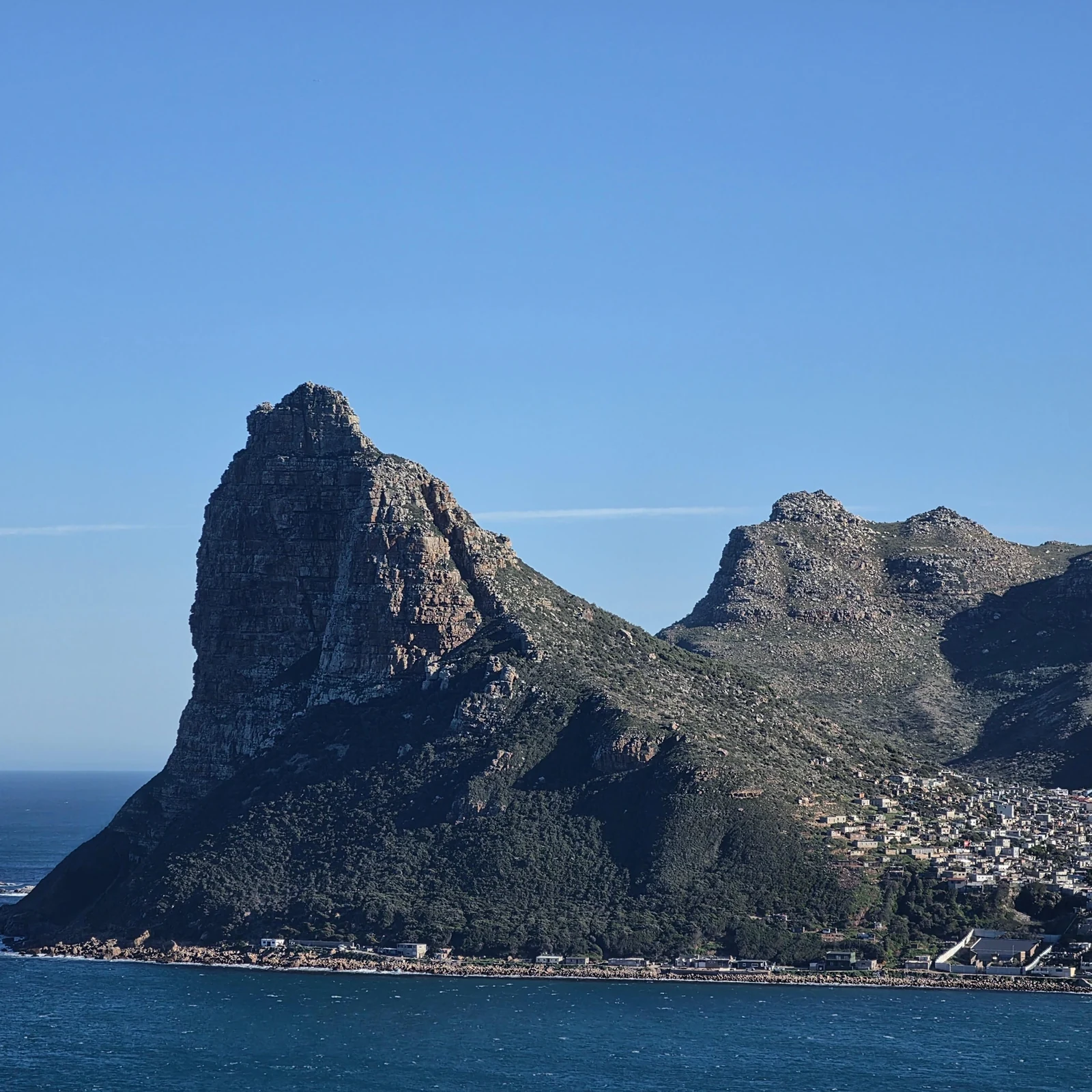 Manchots, Cape Point et côte atlantique en une journée