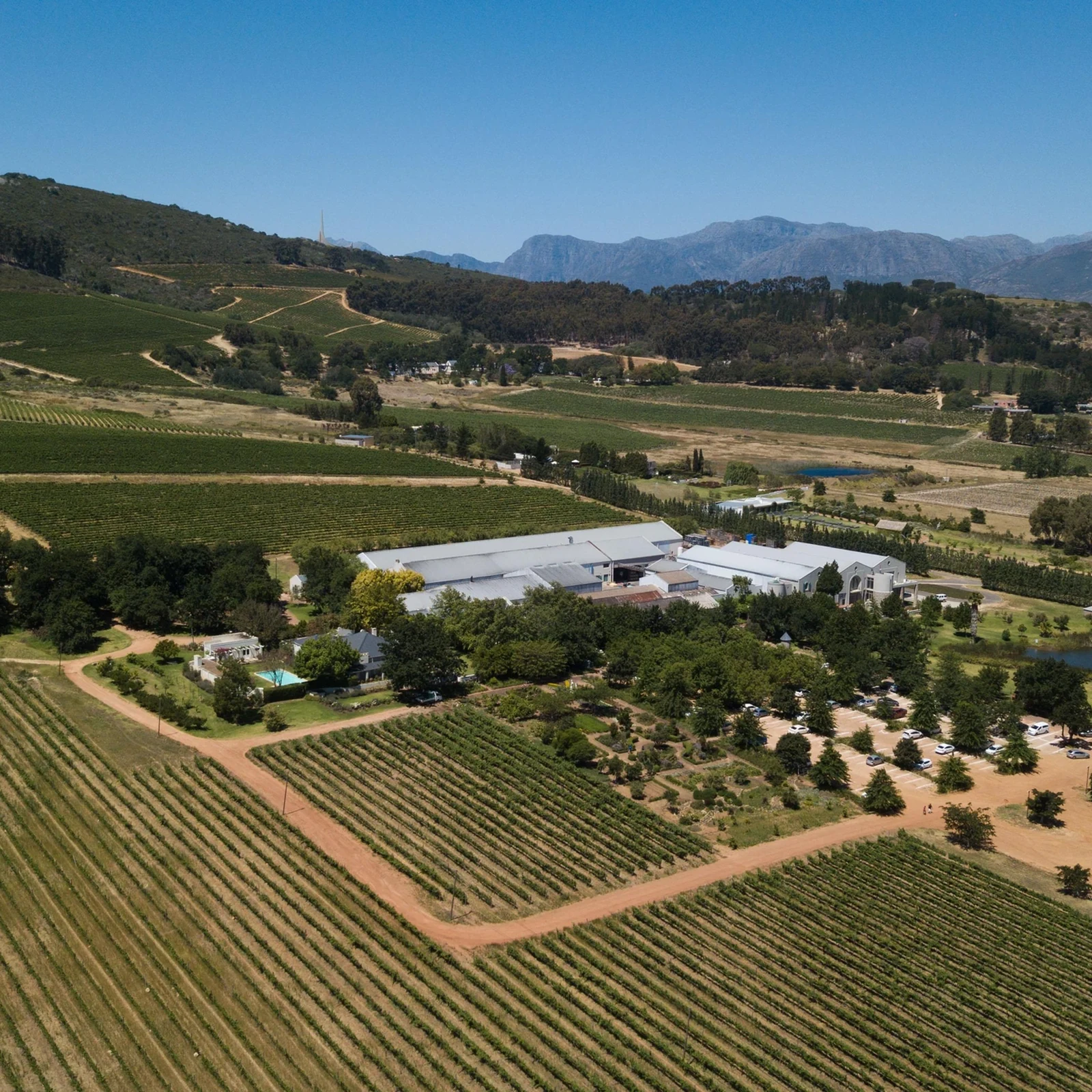 Dos viñedos y once vinos en una escapada a Stellenbosch