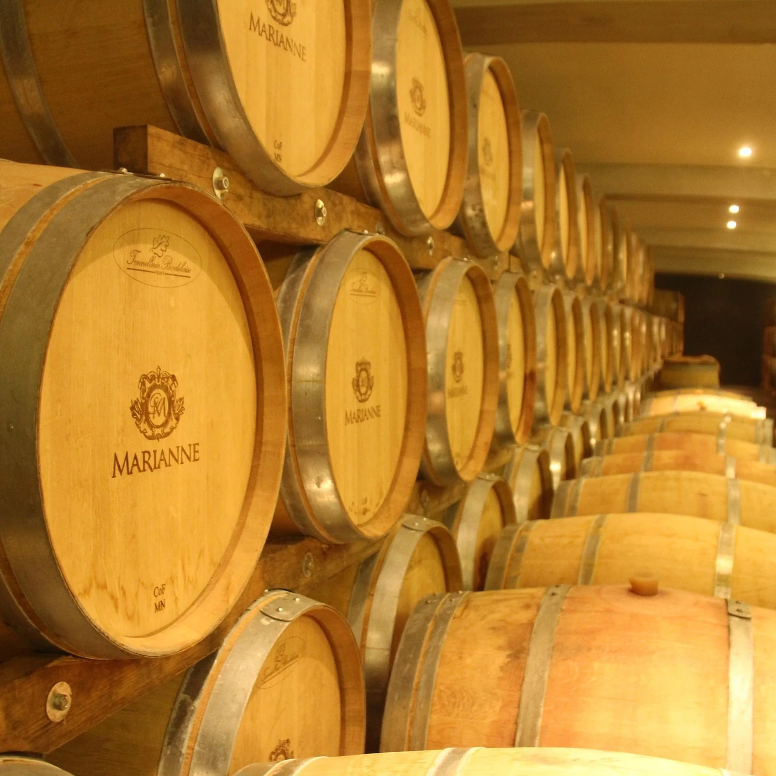 Dos viñedos y once vinos en una escapada a Stellenbosch