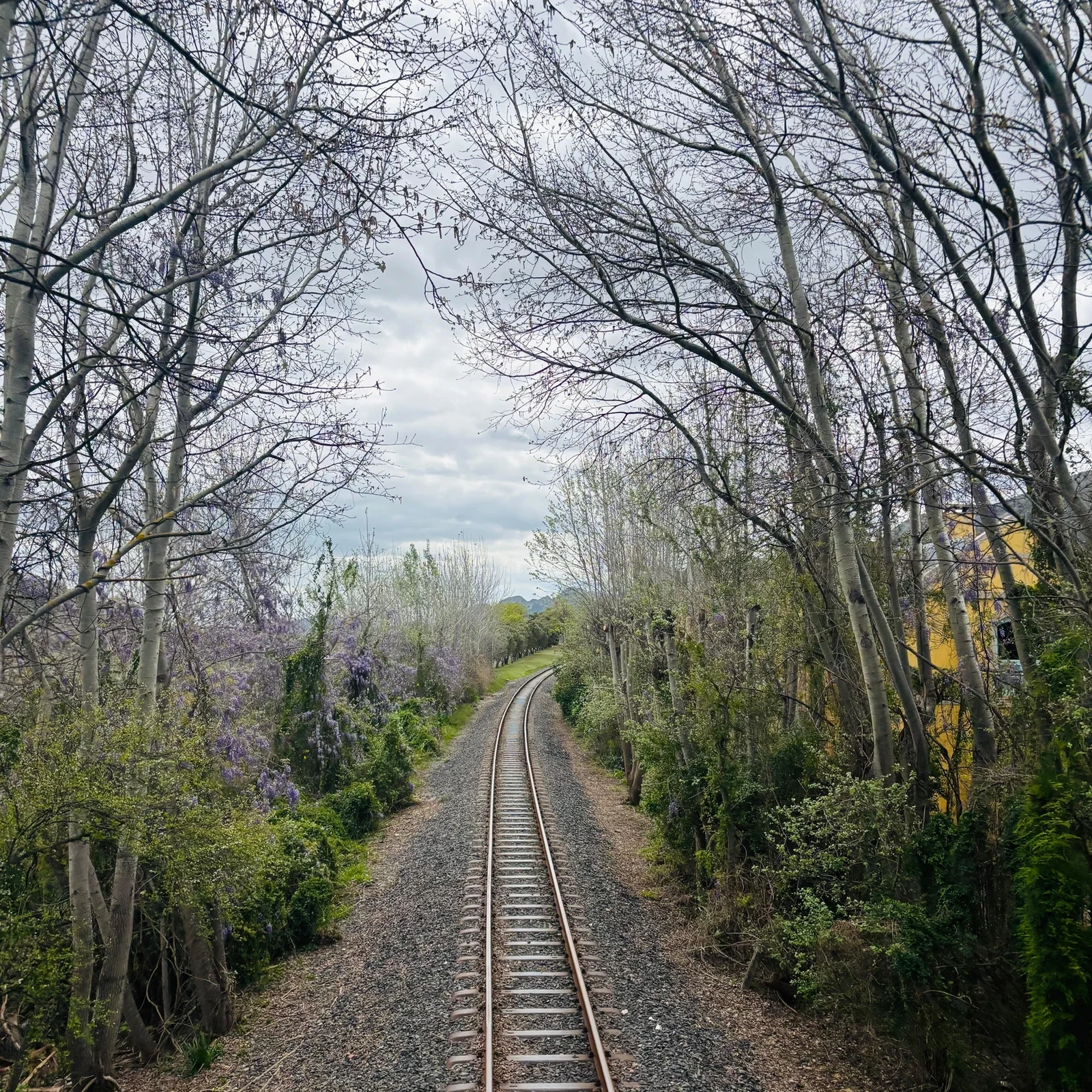 Stellenbosch, Franschhoek und Wine Tram an einem Tag