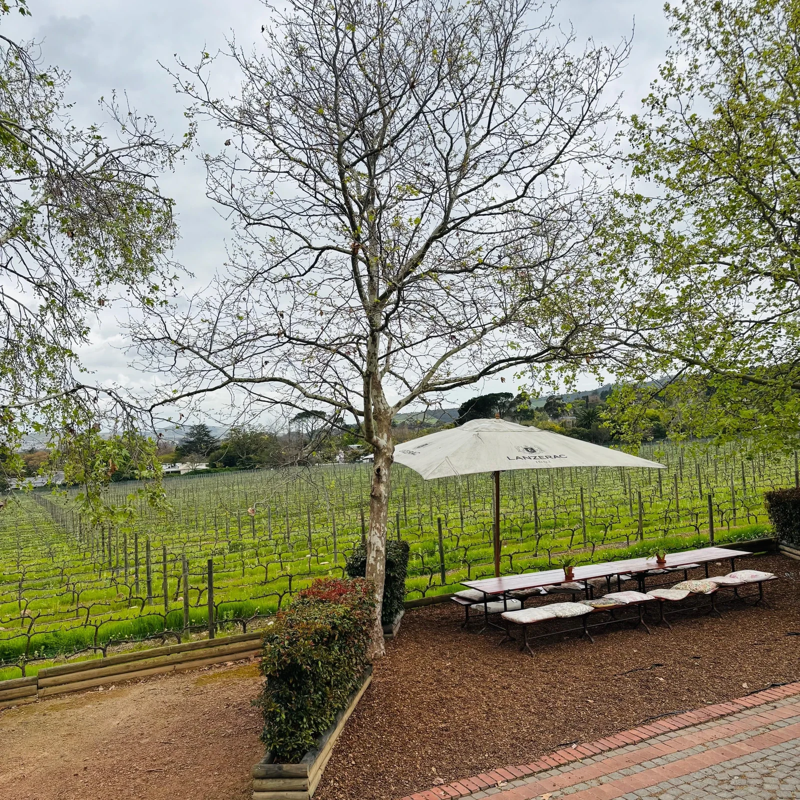 Stellenbosch, Franschhoek und Wine Tram an einem Tag