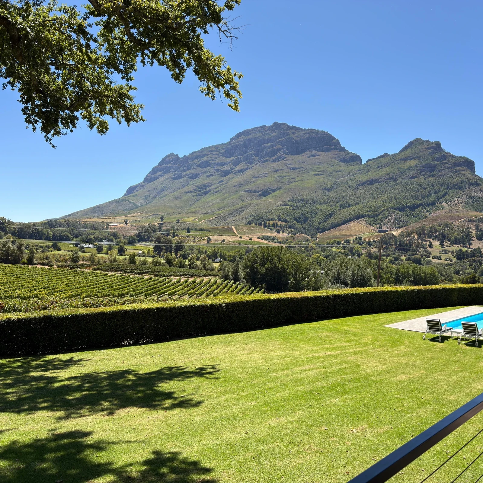 Three wine regions in one day from Cape Town