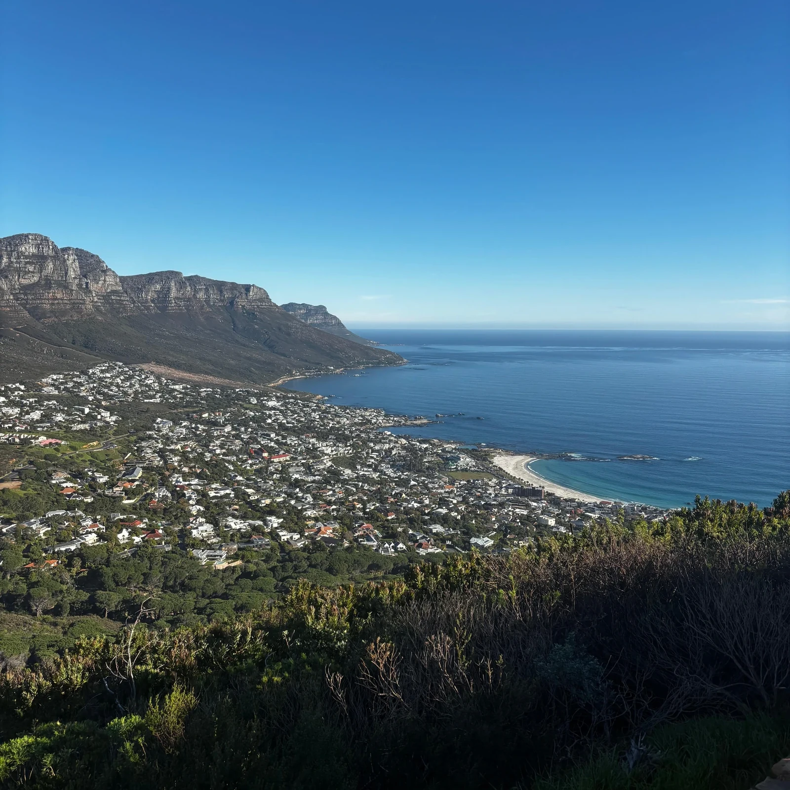 Sube Lion's Head o Table Mountain con un guía profesional