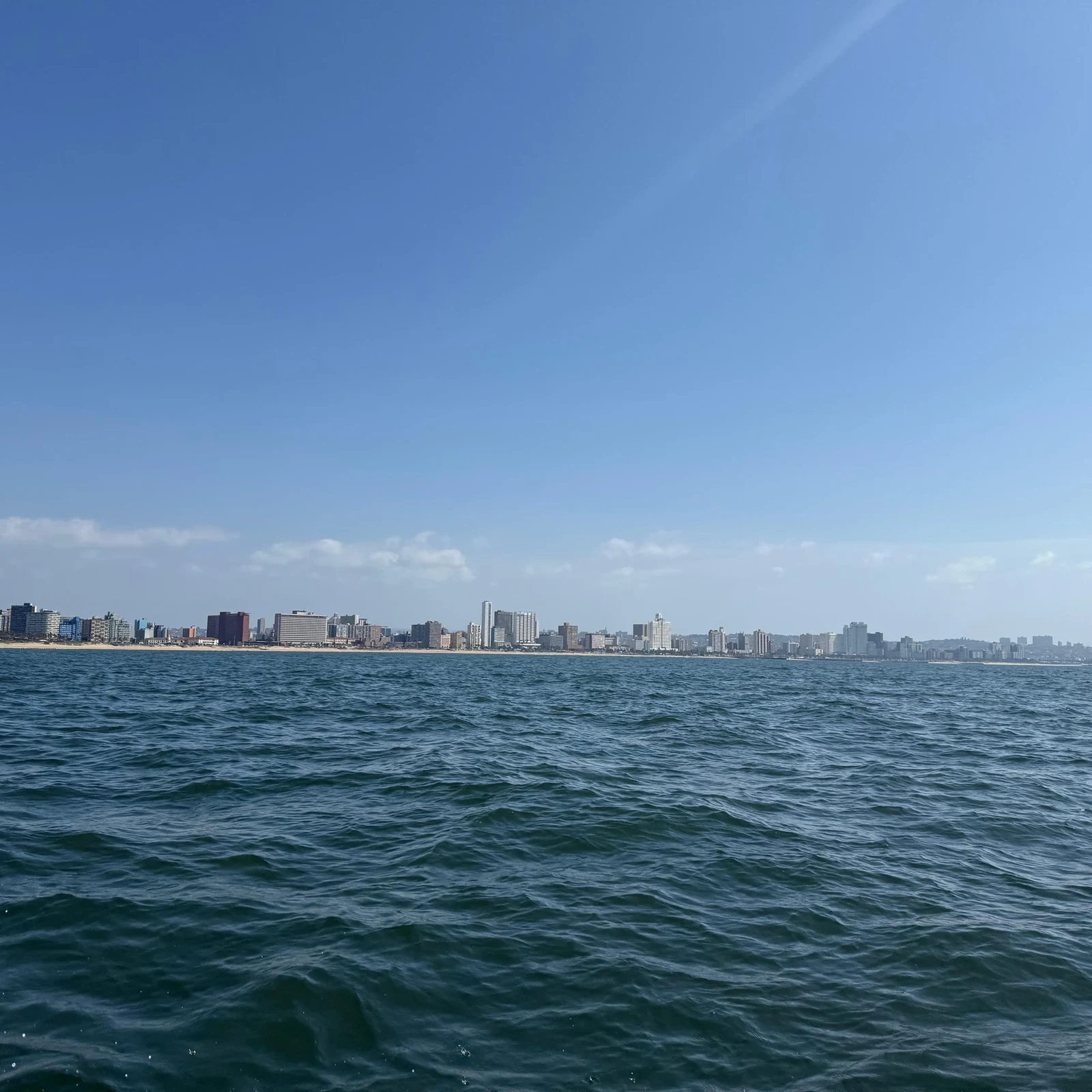 Suche vor Durban nach Walen und Delfinen