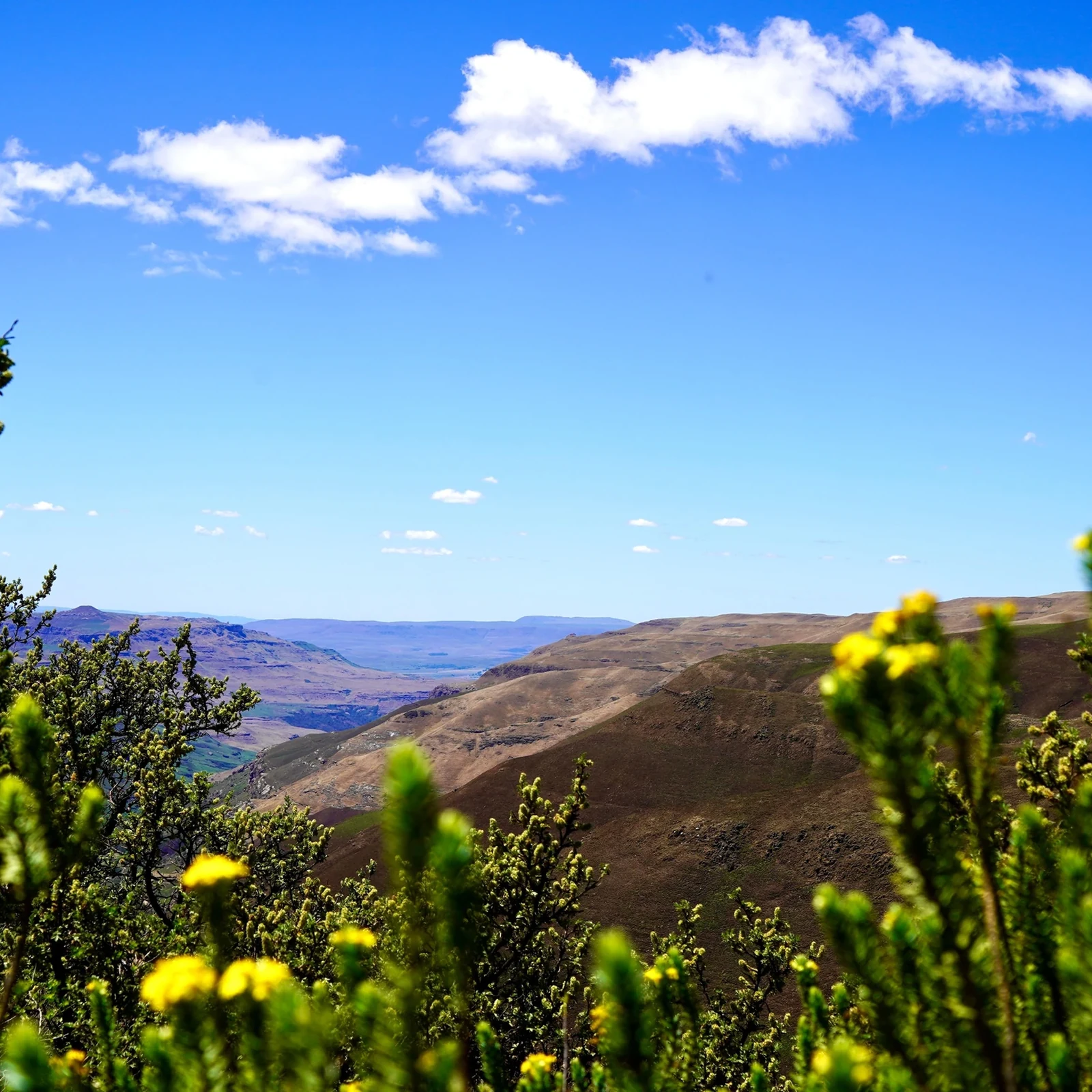 Sani Pass et Lesotho en 4×4 depuis Durban