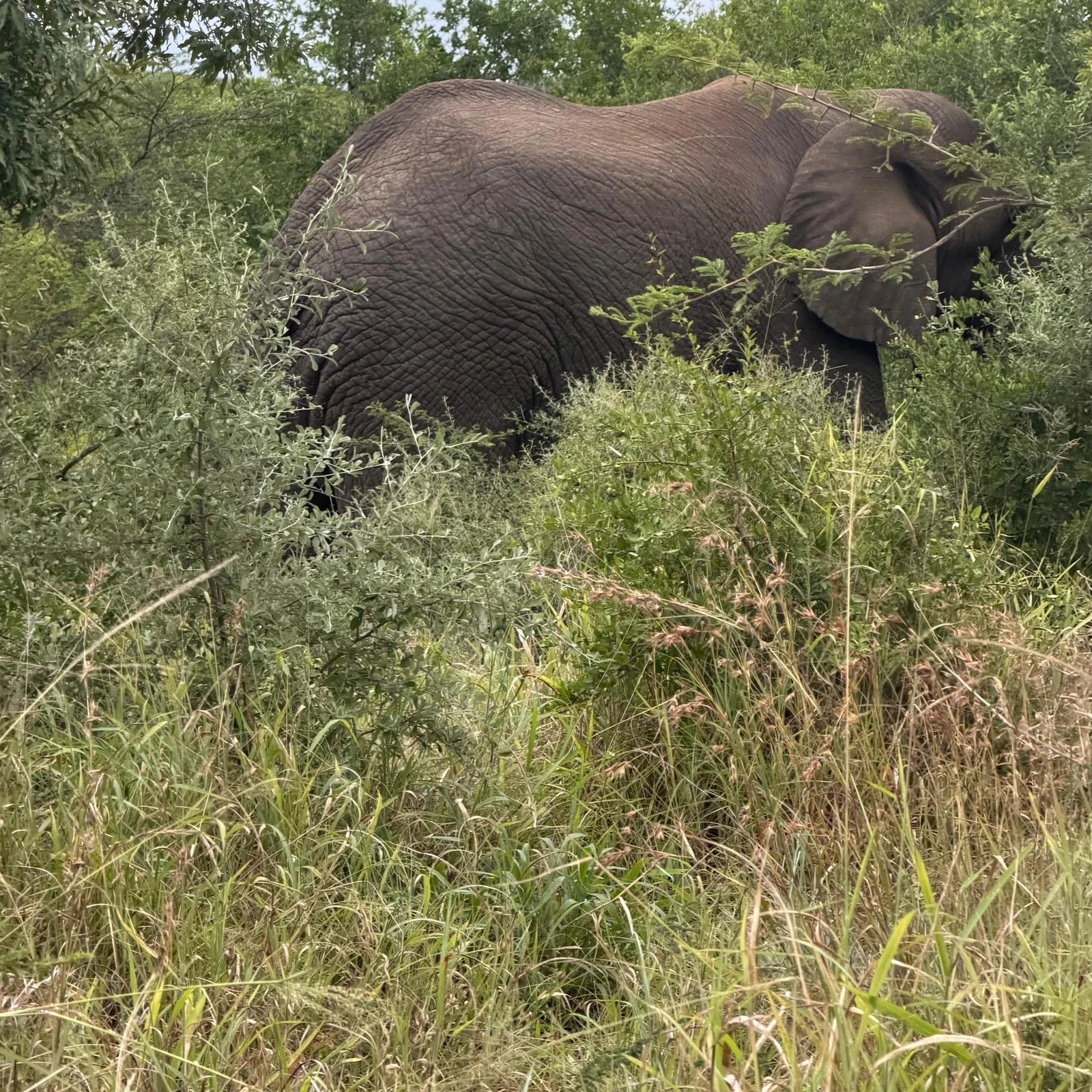 Experience two KwaZulu-Natal parks in one day from Durban