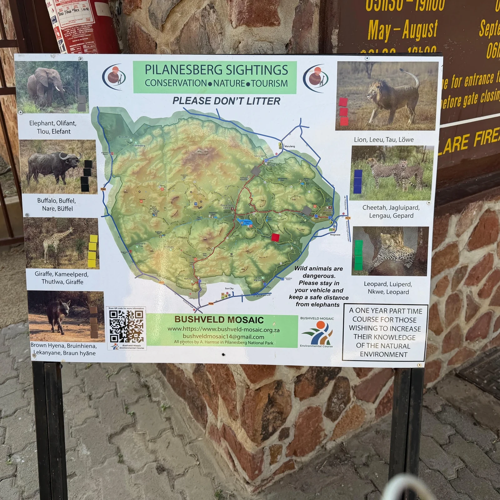 Zwei Pilanesberg Safarifahrten an einem Tag ab Johannesburg