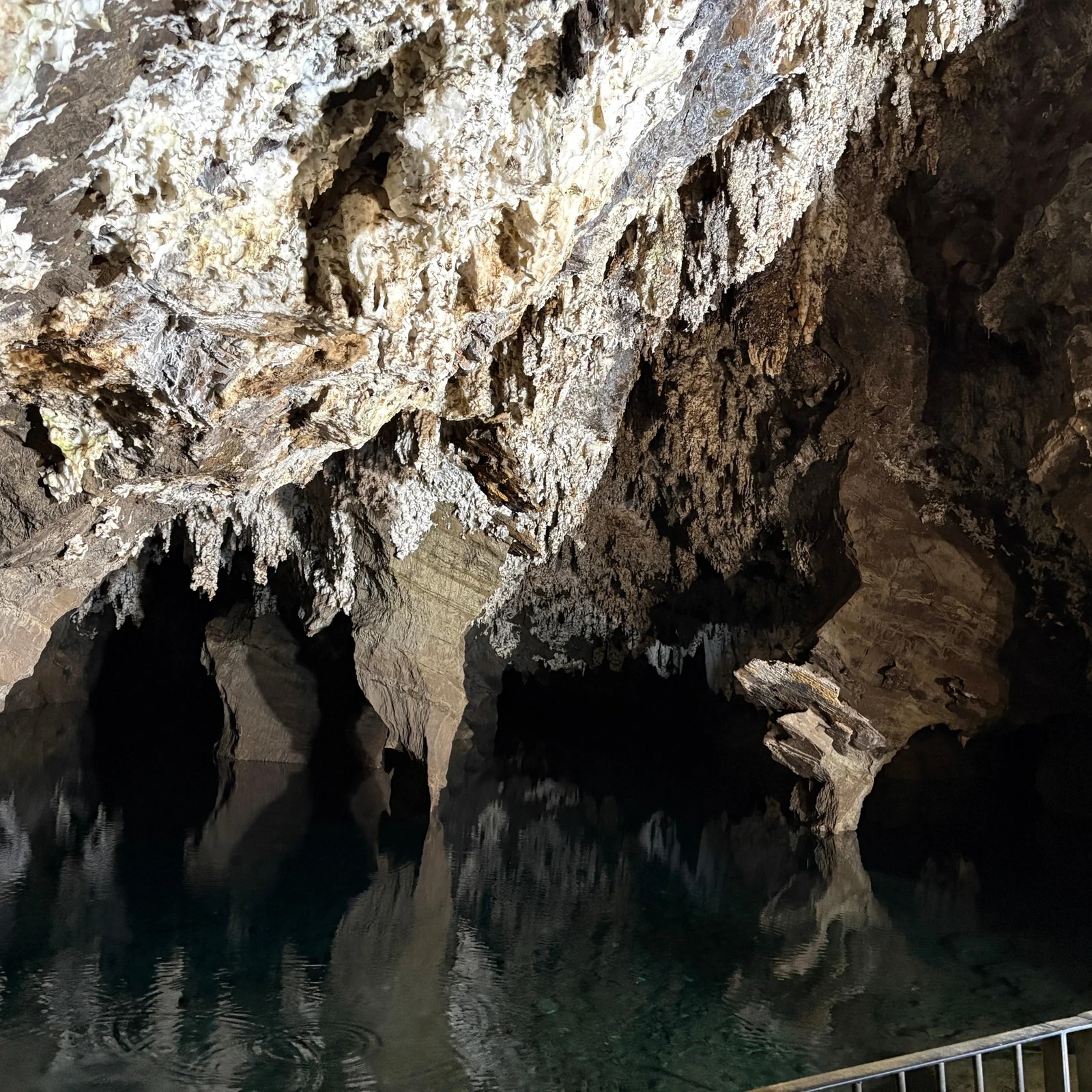 Sterkfontein et Maropeng en une visite guidée avec transferts