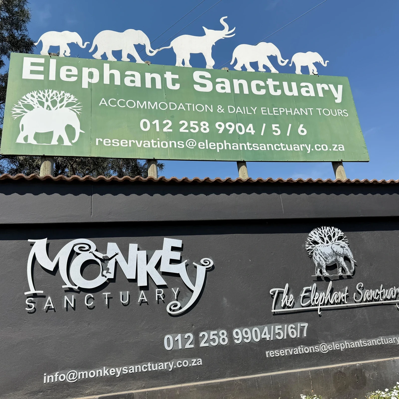 Elephant and Monkey Sanctuary in Hartbeespoort