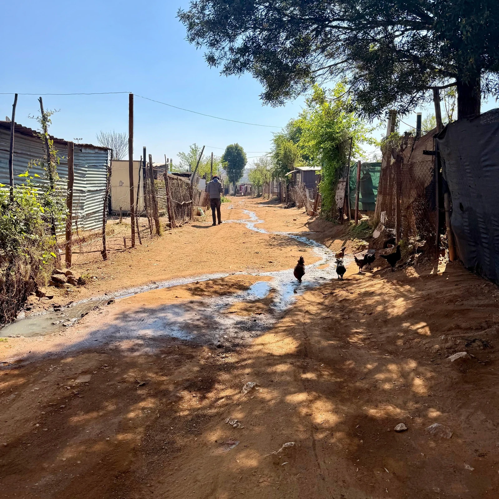 Erlebe Soweto aus lokaler Perspektive