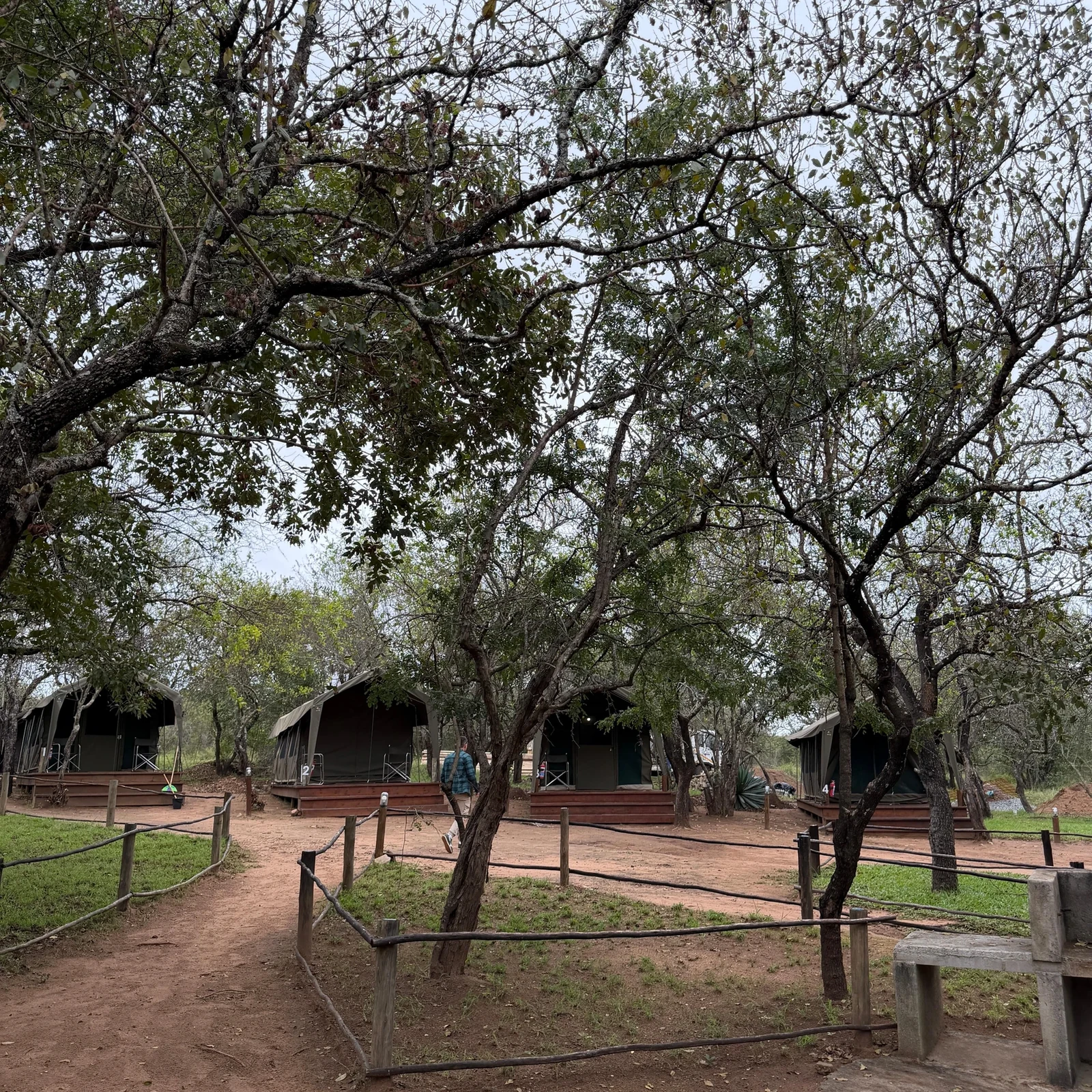 Tres días entre Blue Canyon, Kruger y la sabana
