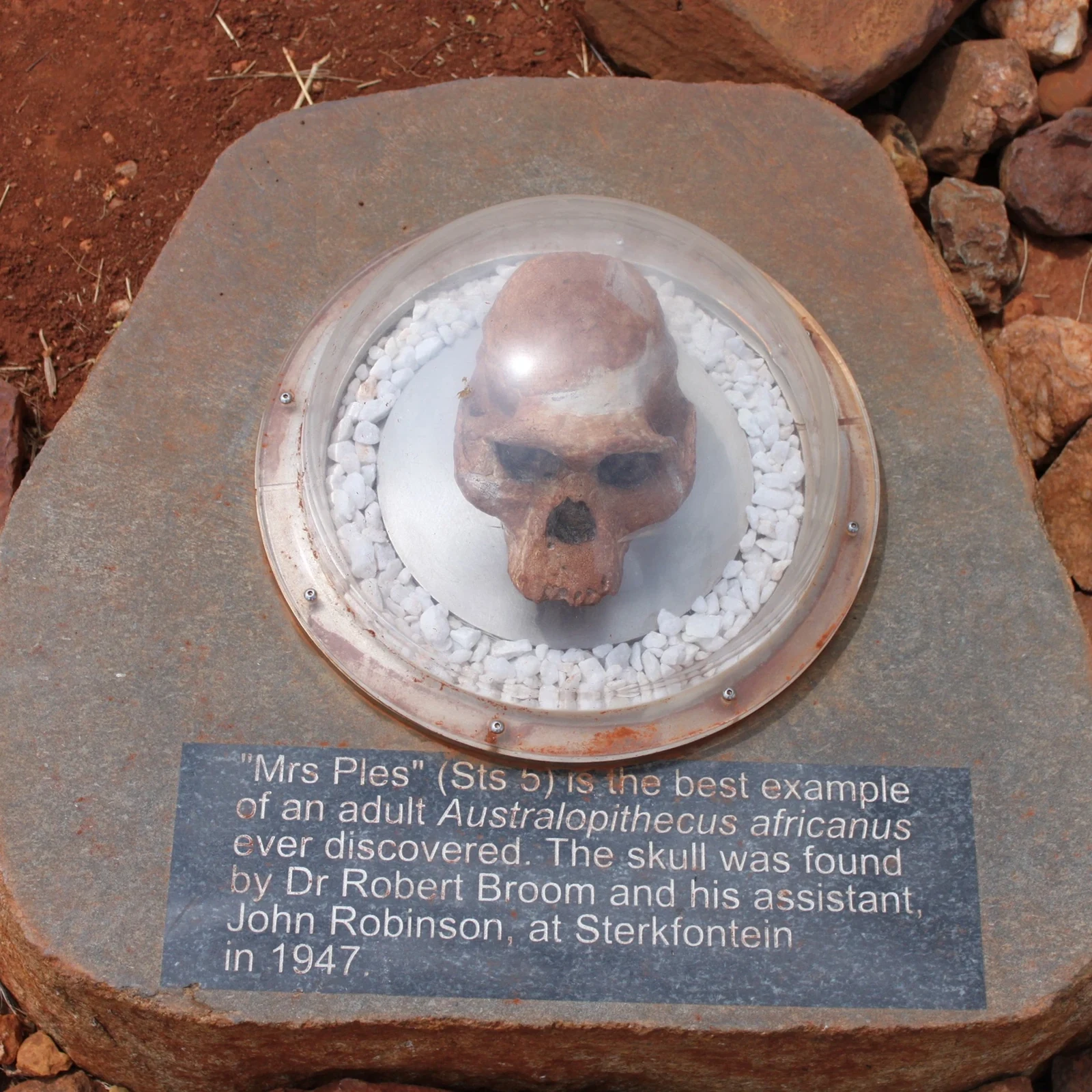 Sterkfontein y Maropeng con un guía especializado