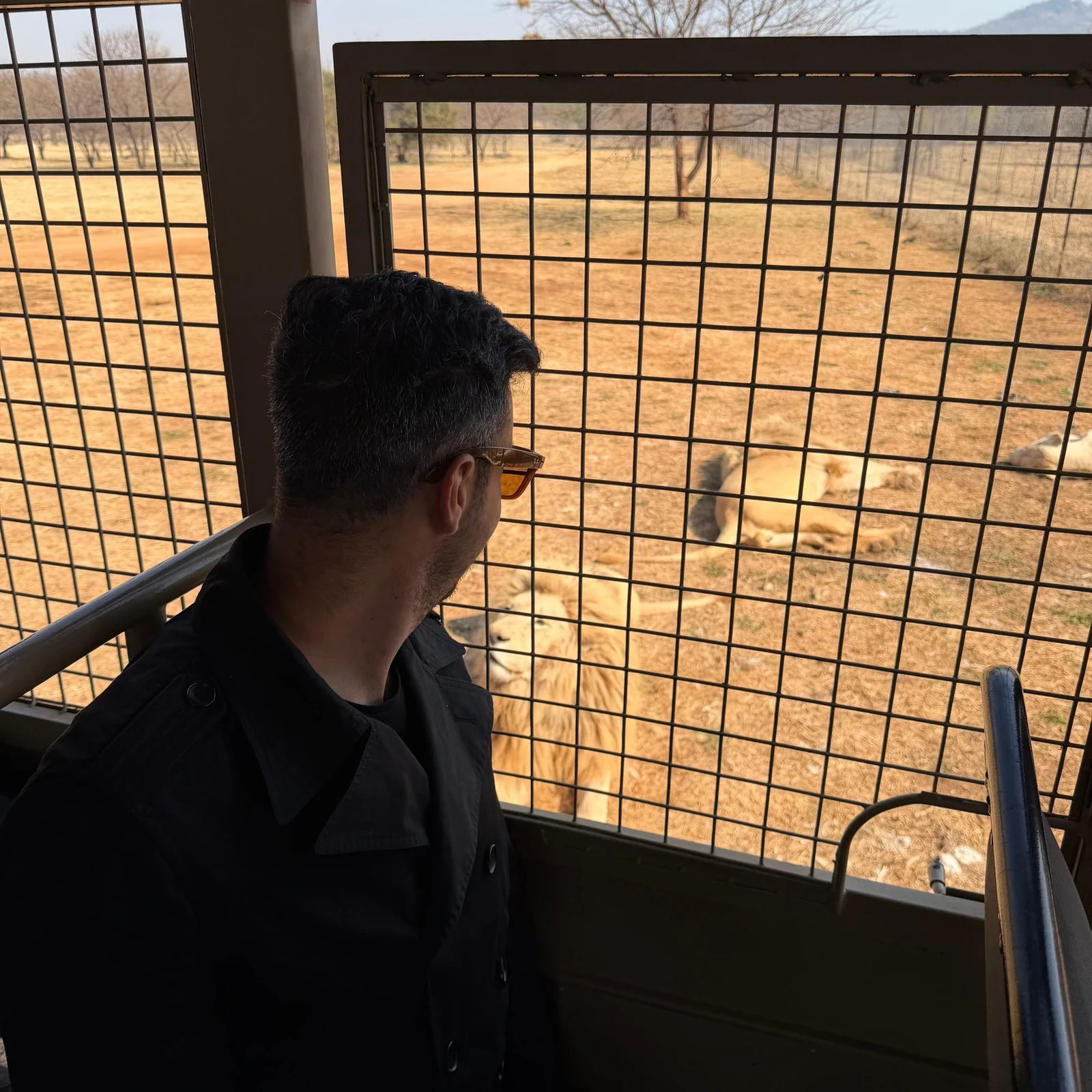 Löwen und andere Tiere nahe Johannesburg beobachten