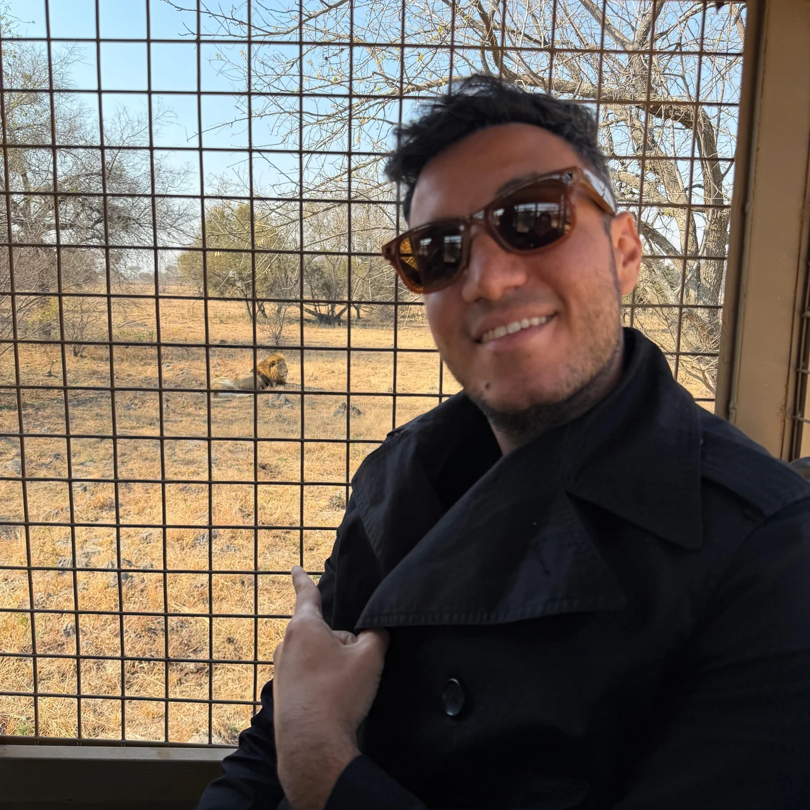 Observa leones y otros animales cerca de Johannesburgo