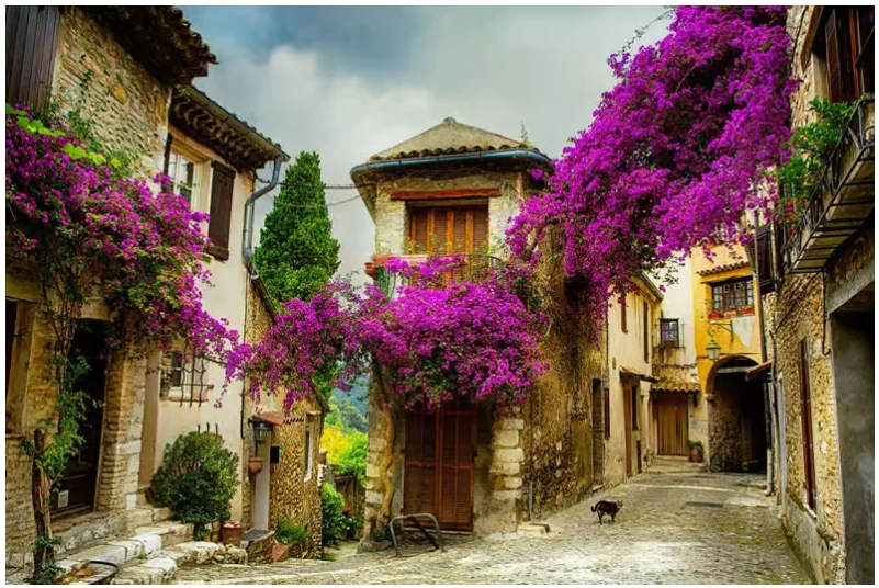 Visite de la Provence depuis Nice entre villages médiévaux