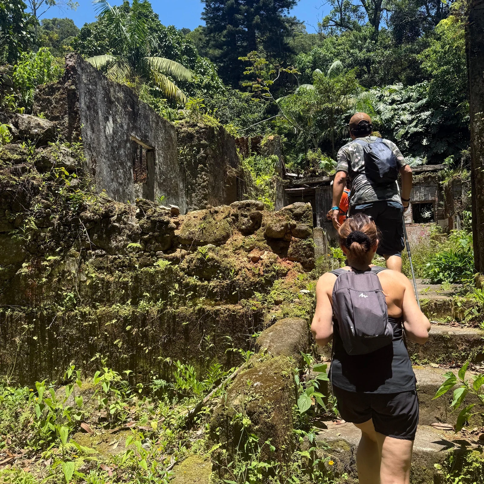 Explorez à pied les grottes, cascades et l’histoire de la forêt de Tijuca