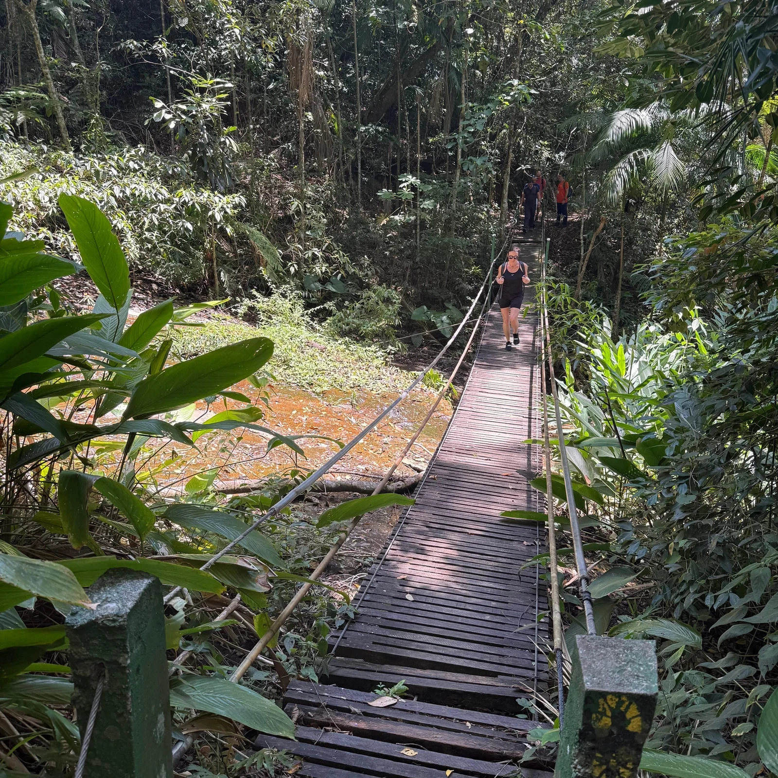Entdecken Sie die Höhlen, Wasserfälle und Geschichte des Tijuca-Waldes zu Fuß