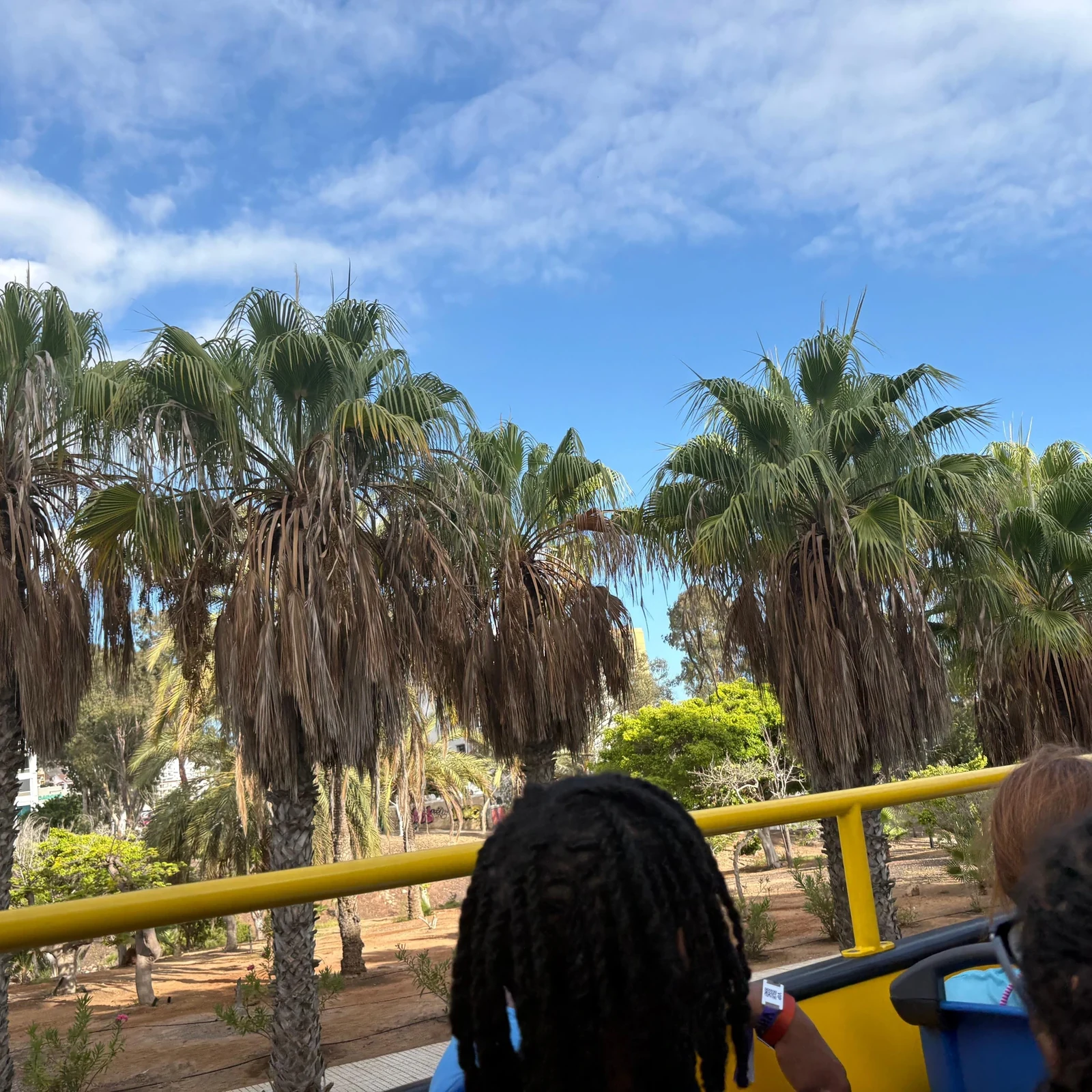 Siam Park Eintritt: Wasserspaß für unterschiedliche Vorlieben