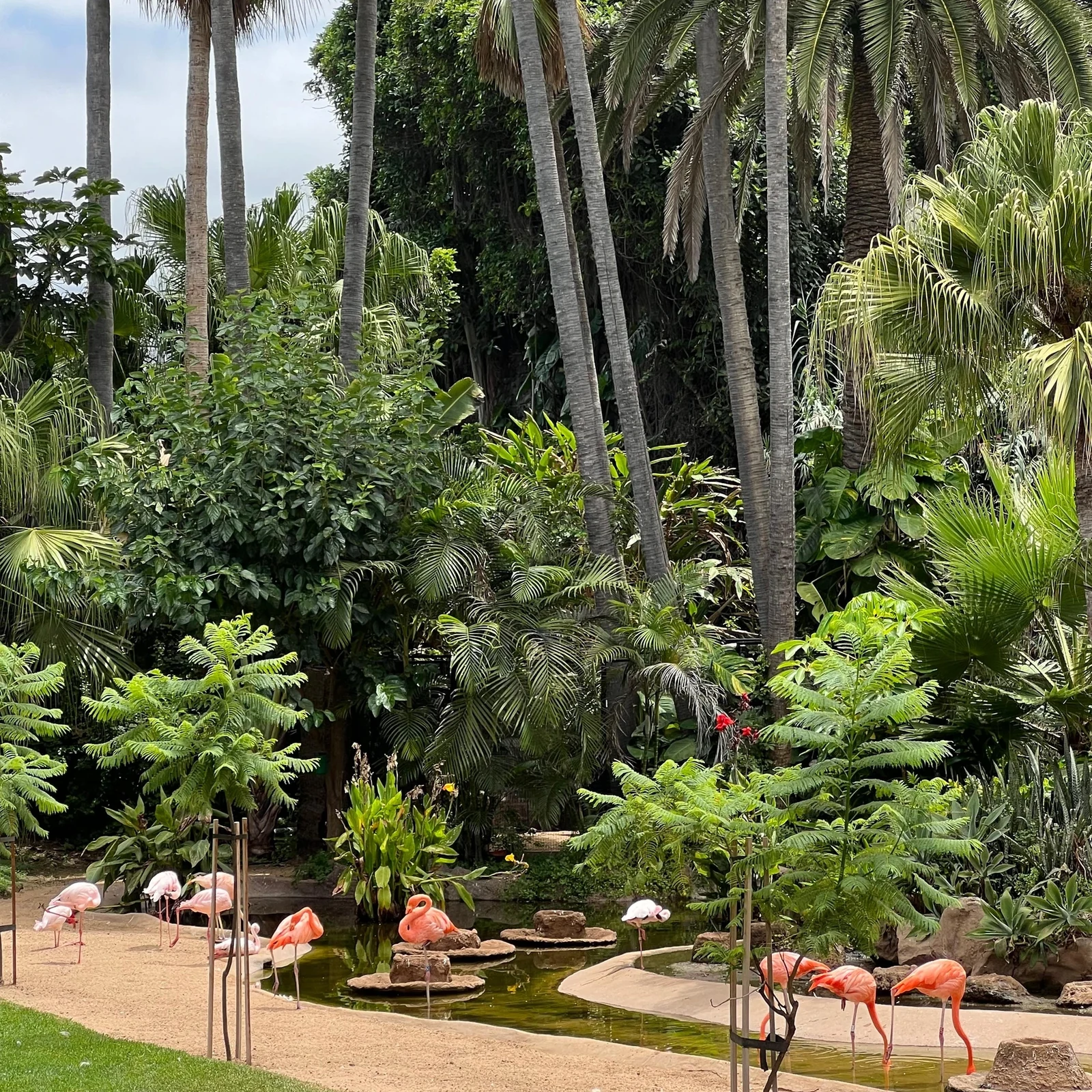 Erkunde den Loro Parque in deinem Tempo
