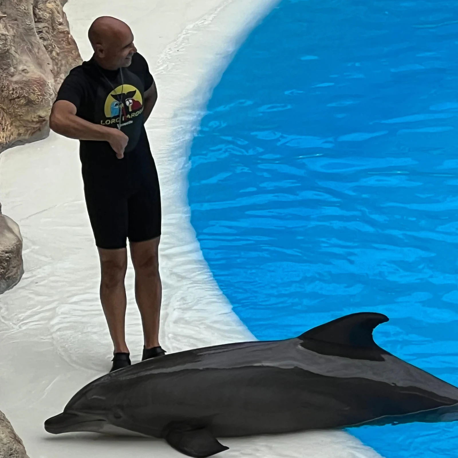 Erkunde den Loro Parque in deinem Tempo