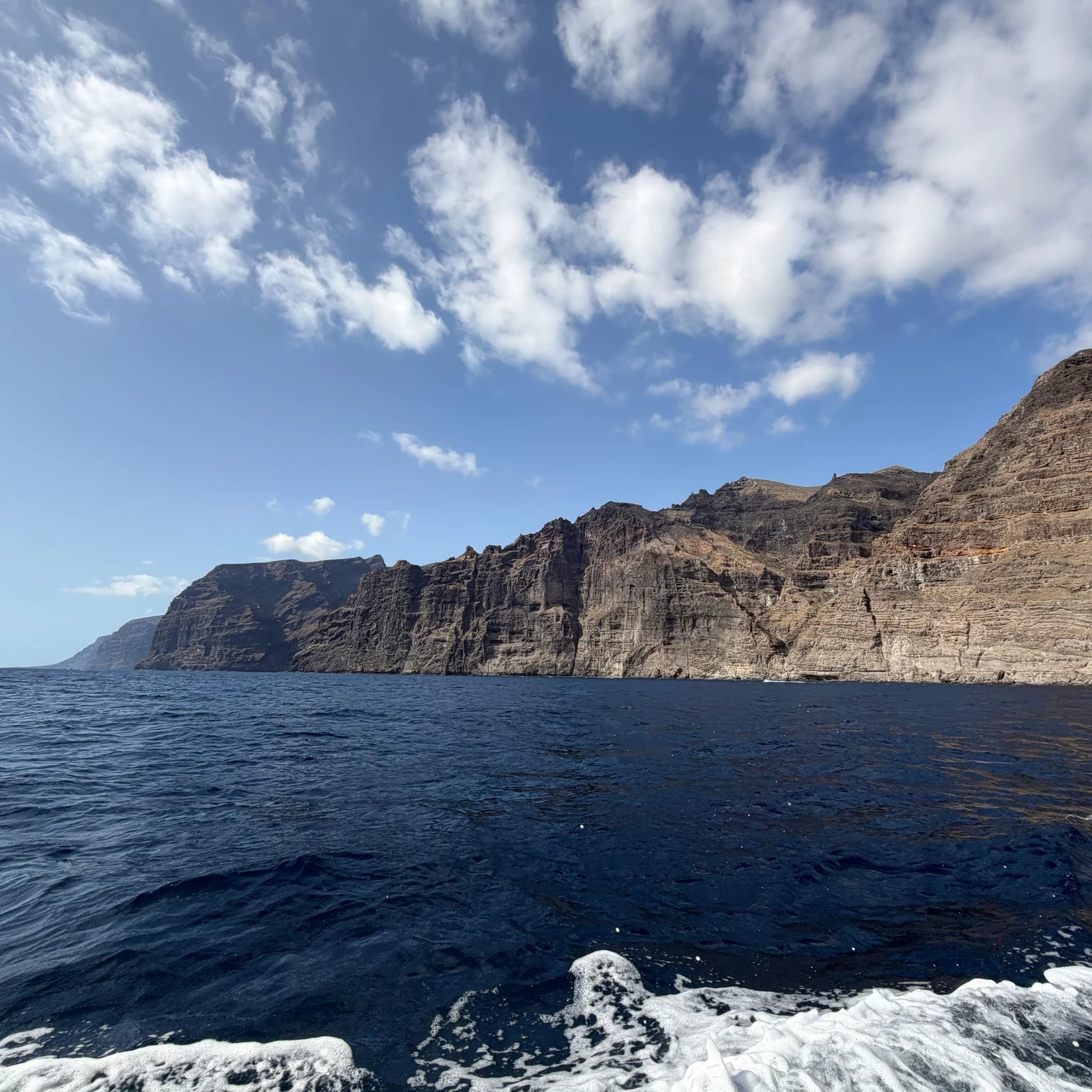 Cherchez dauphins et baleines au large de Los Gigantes, puis baignez-vous