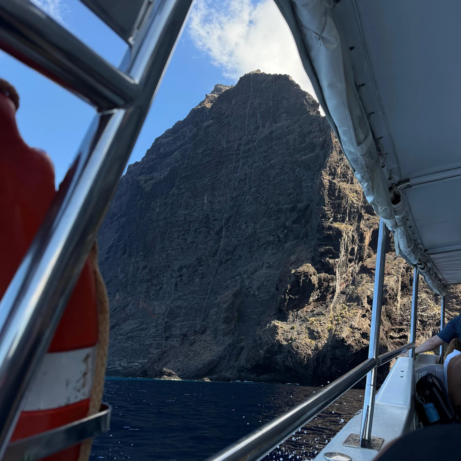 Delfin- und Walbeobachtung ab Los Gigantes mit Badestopp