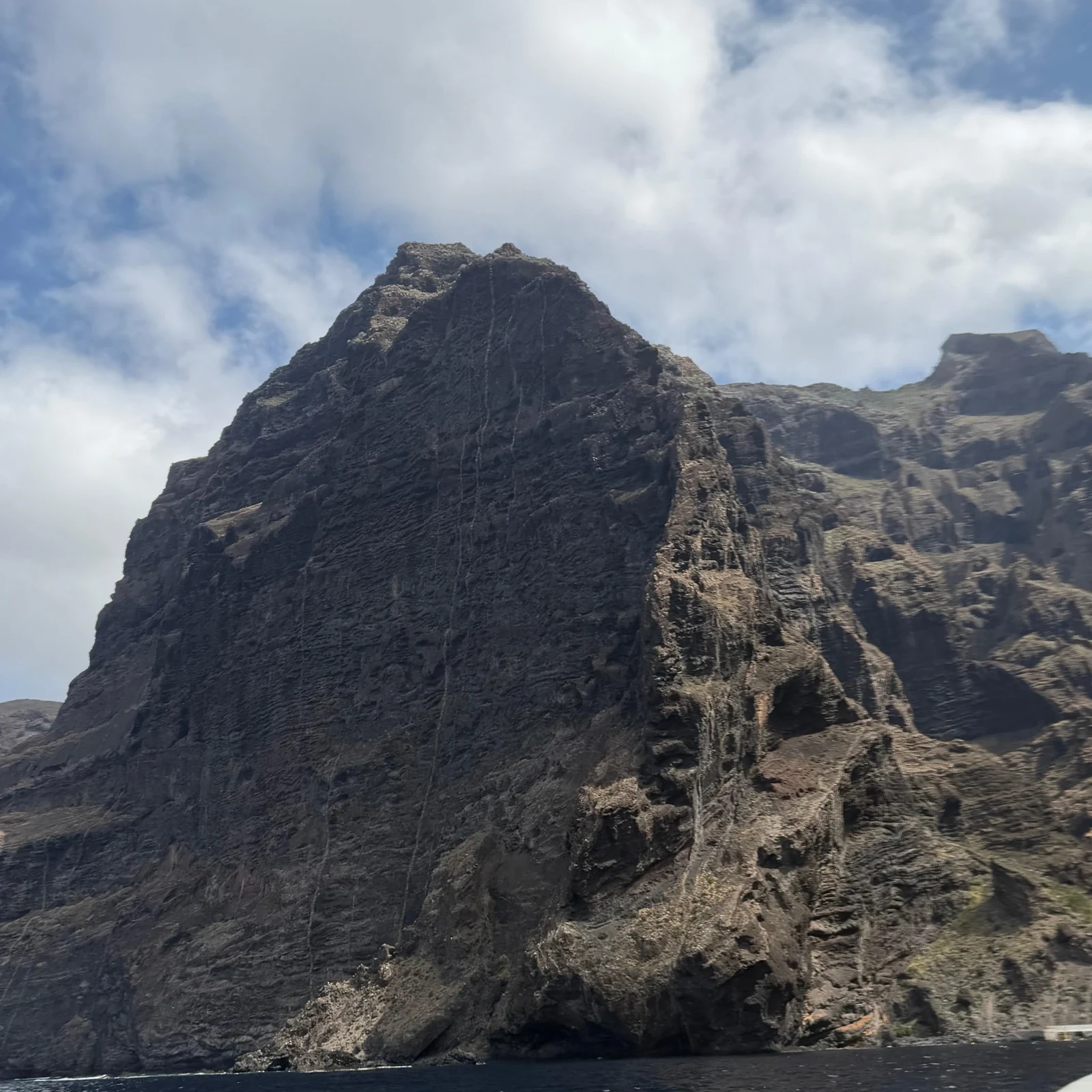 Croisière dauphins et baleines à Los Gigantes avec baignade
