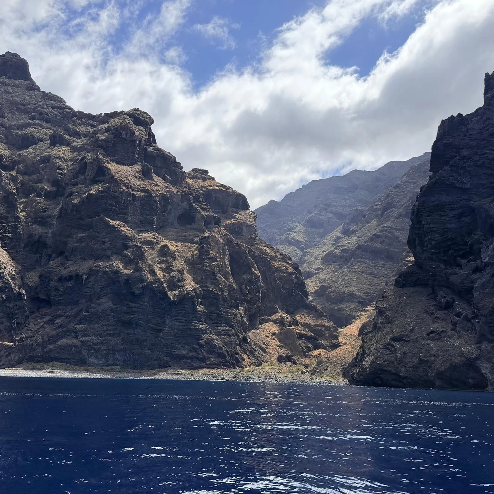 Croisière dauphins et baleines à Los Gigantes avec baignade