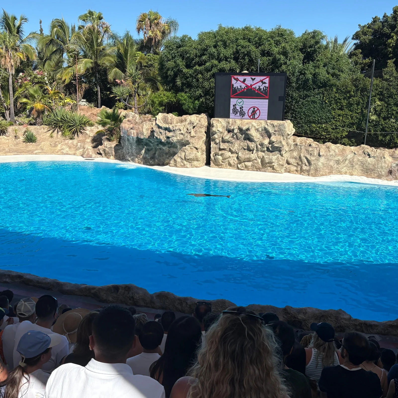 Loro Parque mit organisiertem Transfer aus dem Süden Teneriffas