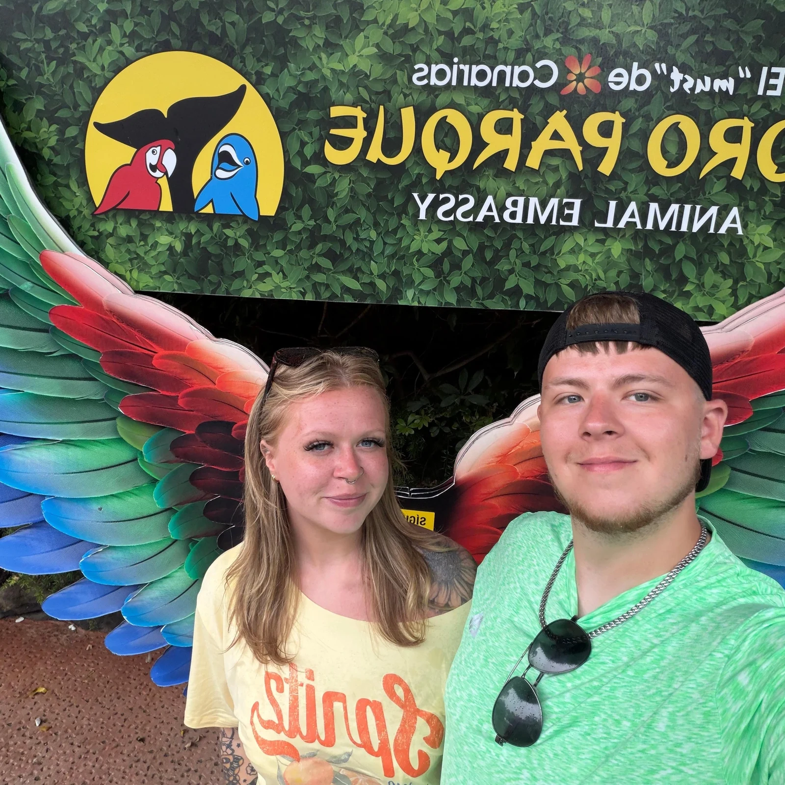 Loro Parque Eintritt mit Transfer aus dem Süden Teneriffas