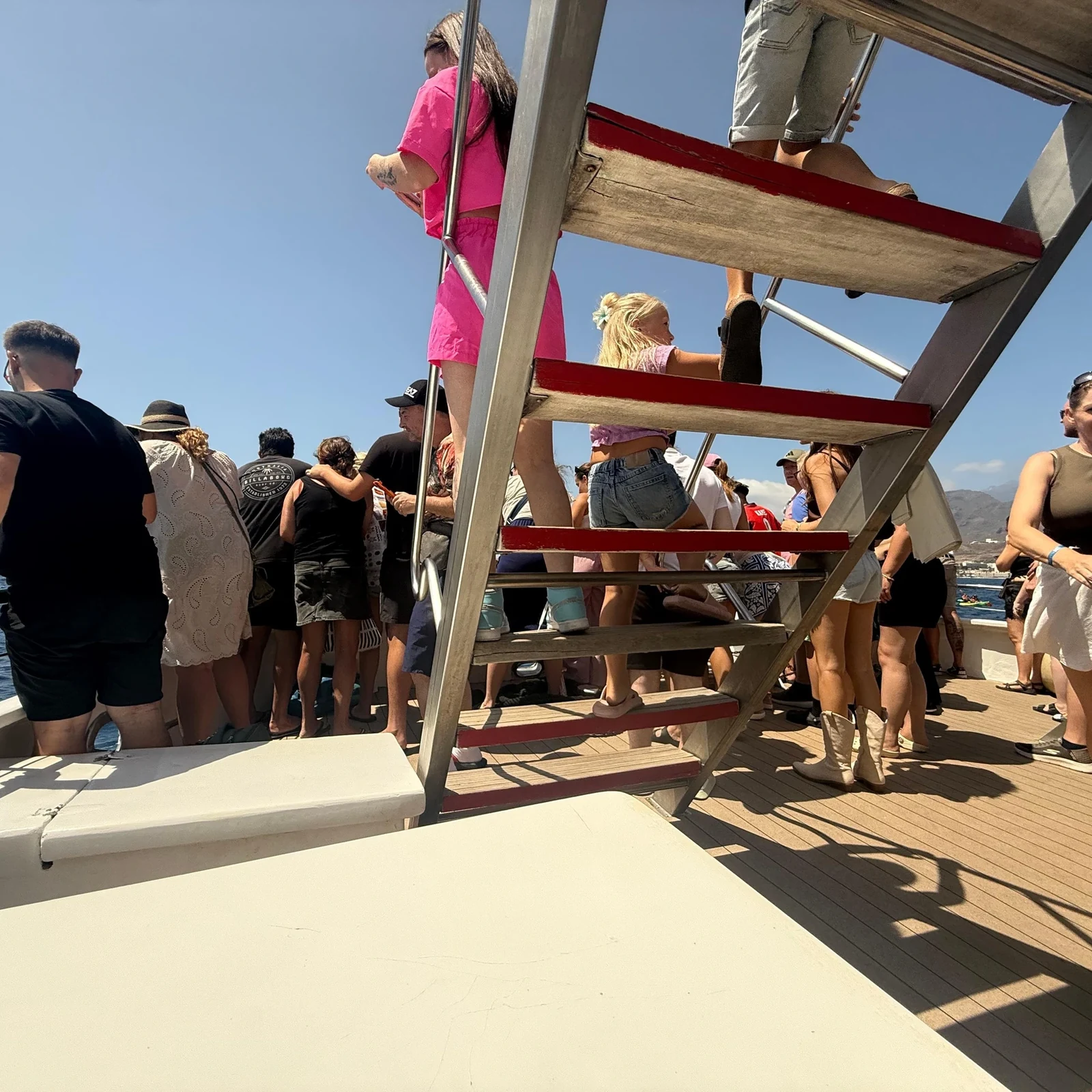 Observation respectueuse des baleines et dauphins à Tenerife