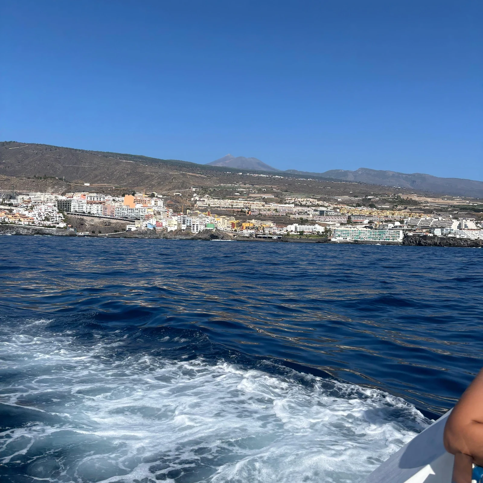 Observation des baleines à Los Gigantes et baignade à Masca