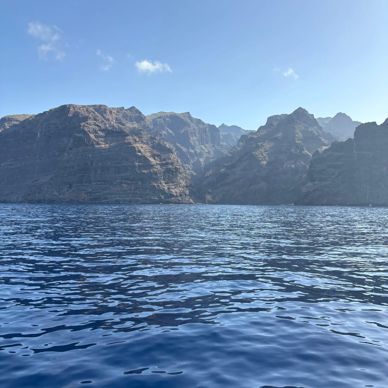 Observation des baleines à Los Gigantes et baignade à Masca