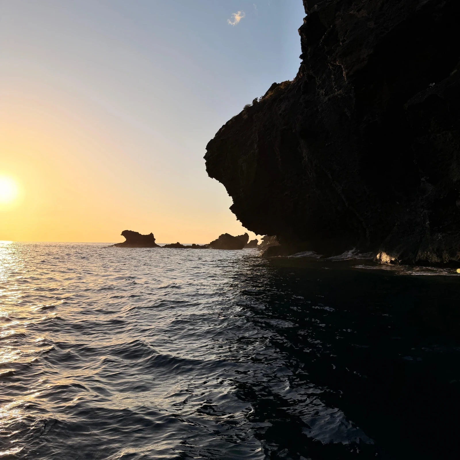 Observation des baleines à Los Gigantes et baignade à Masca