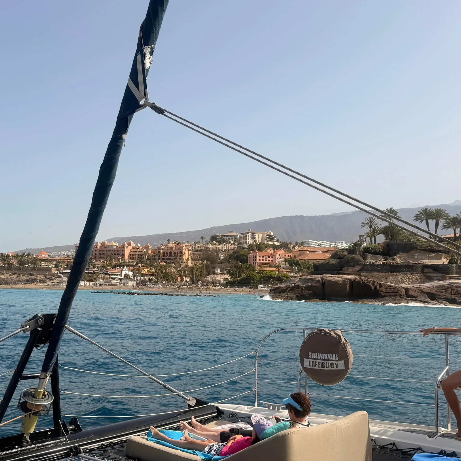 Beobachten Sie Wale und Delfine vom Katamaran vor Teneriffa