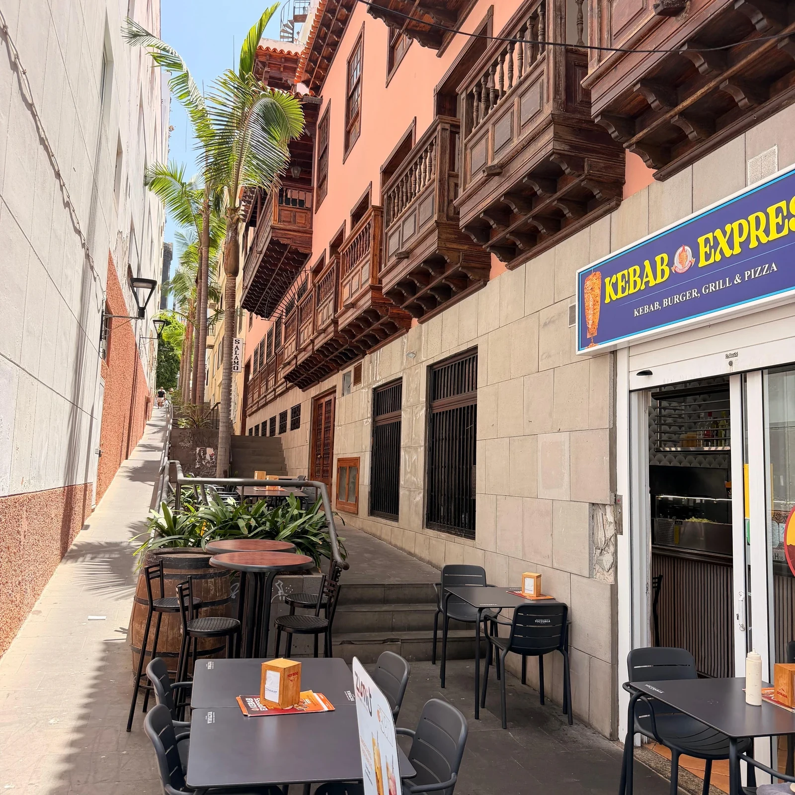 Umweltfreundliche Wal- und Delfinbeobachtungsfahrt ab Costa Adeje