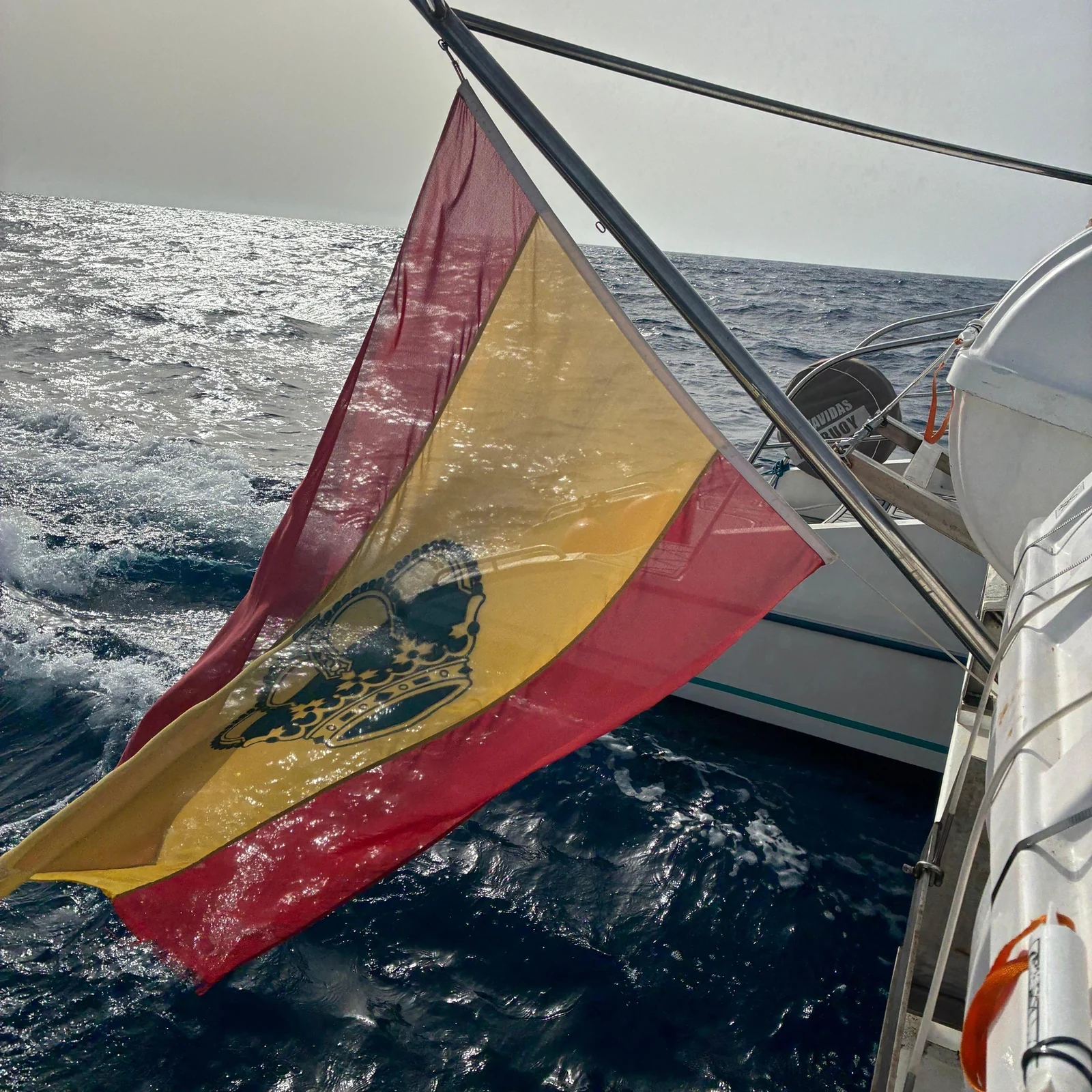 Umweltfreundliche Wal- und Delfinbeobachtungsfahrt ab Costa Adeje
