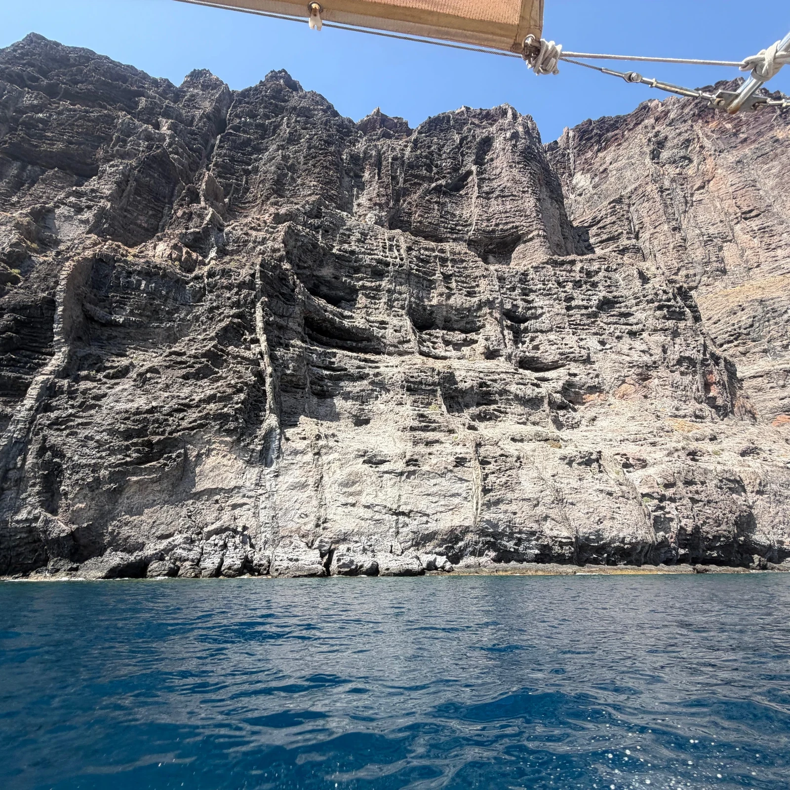 Faune marine, falaises et baignade en 2 heures depuis Los Gigantes