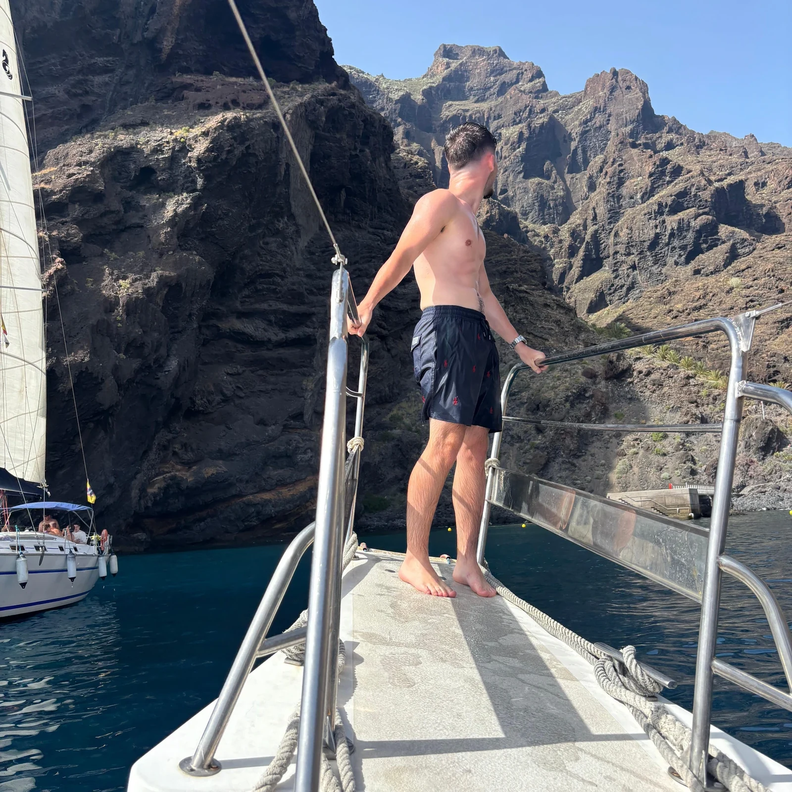 Fauna marina, acantilados y baño en 2 horas desde Los Gigantes