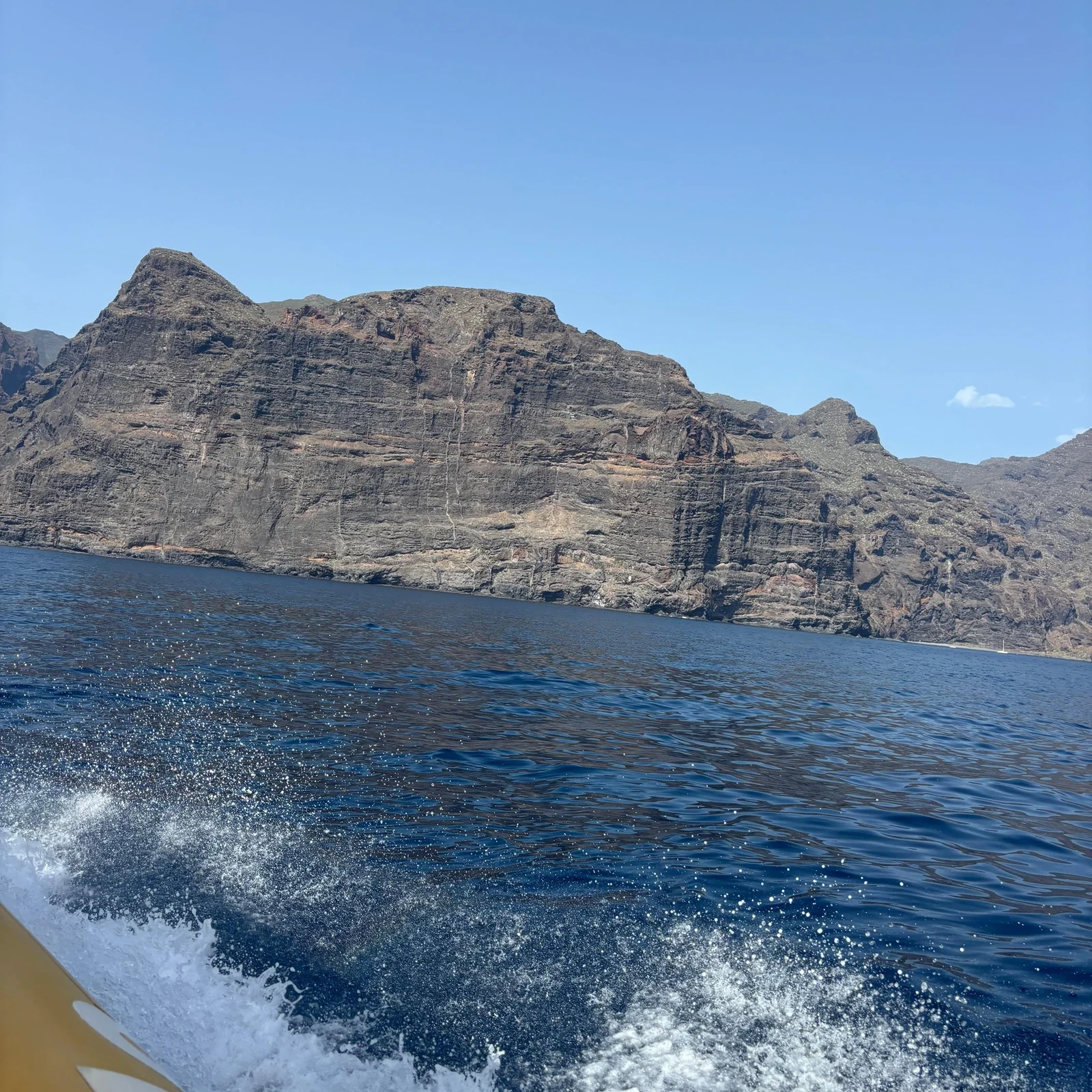 Avistamiento de ballenas y delfines en lancha desde Los Gigantes
