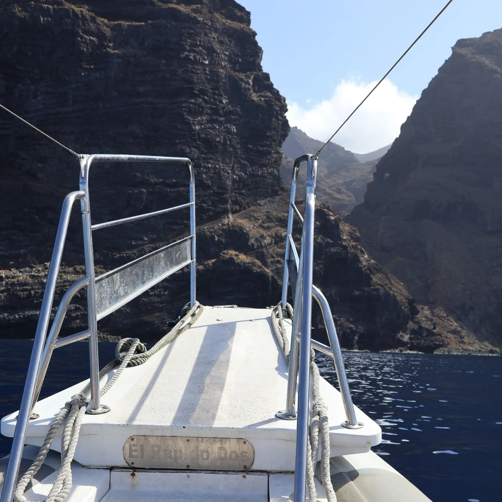 Avistamiento de ballenas y delfines en lancha desde Los Gigantes