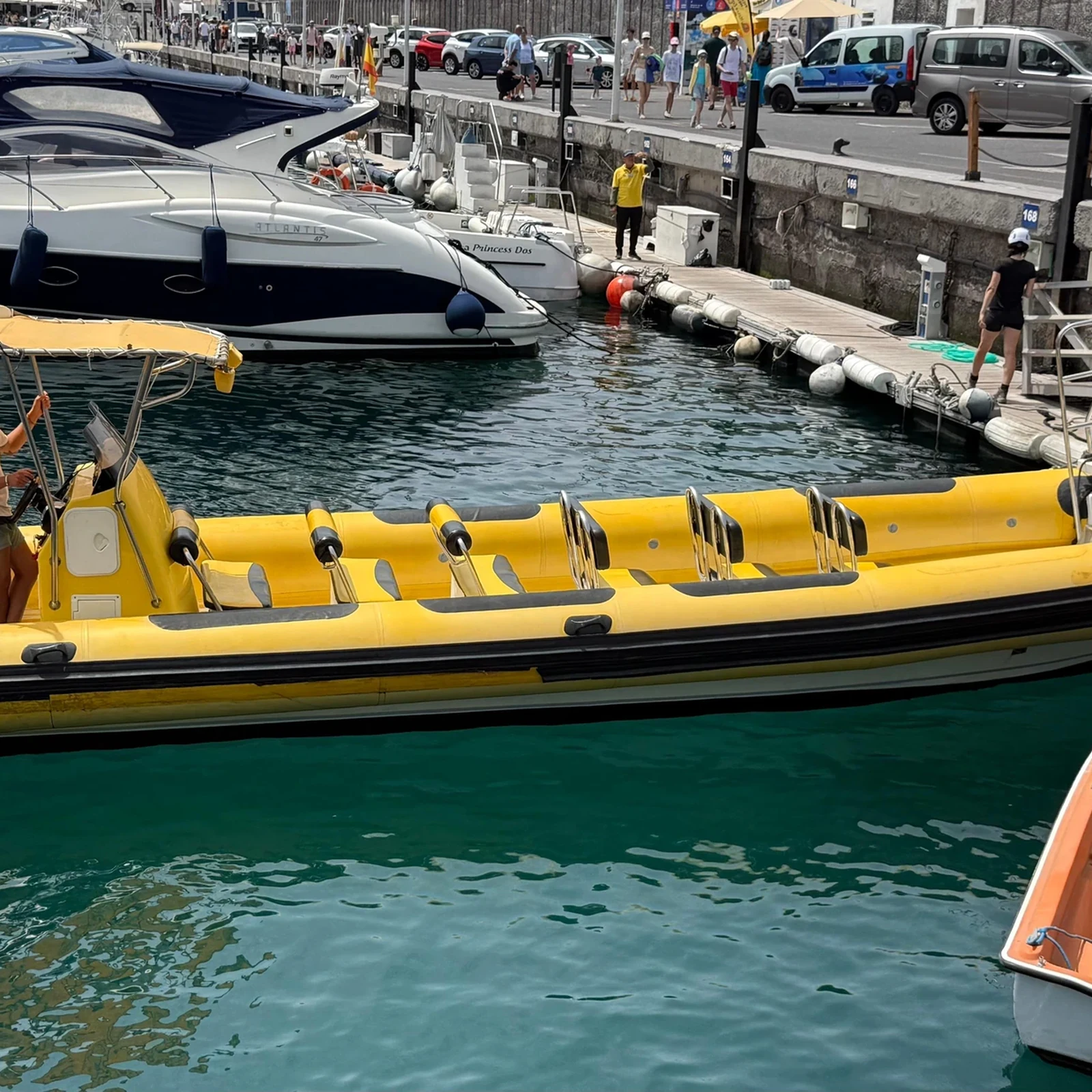 Avistamiento de ballenas y delfines en lancha desde Los Gigantes
