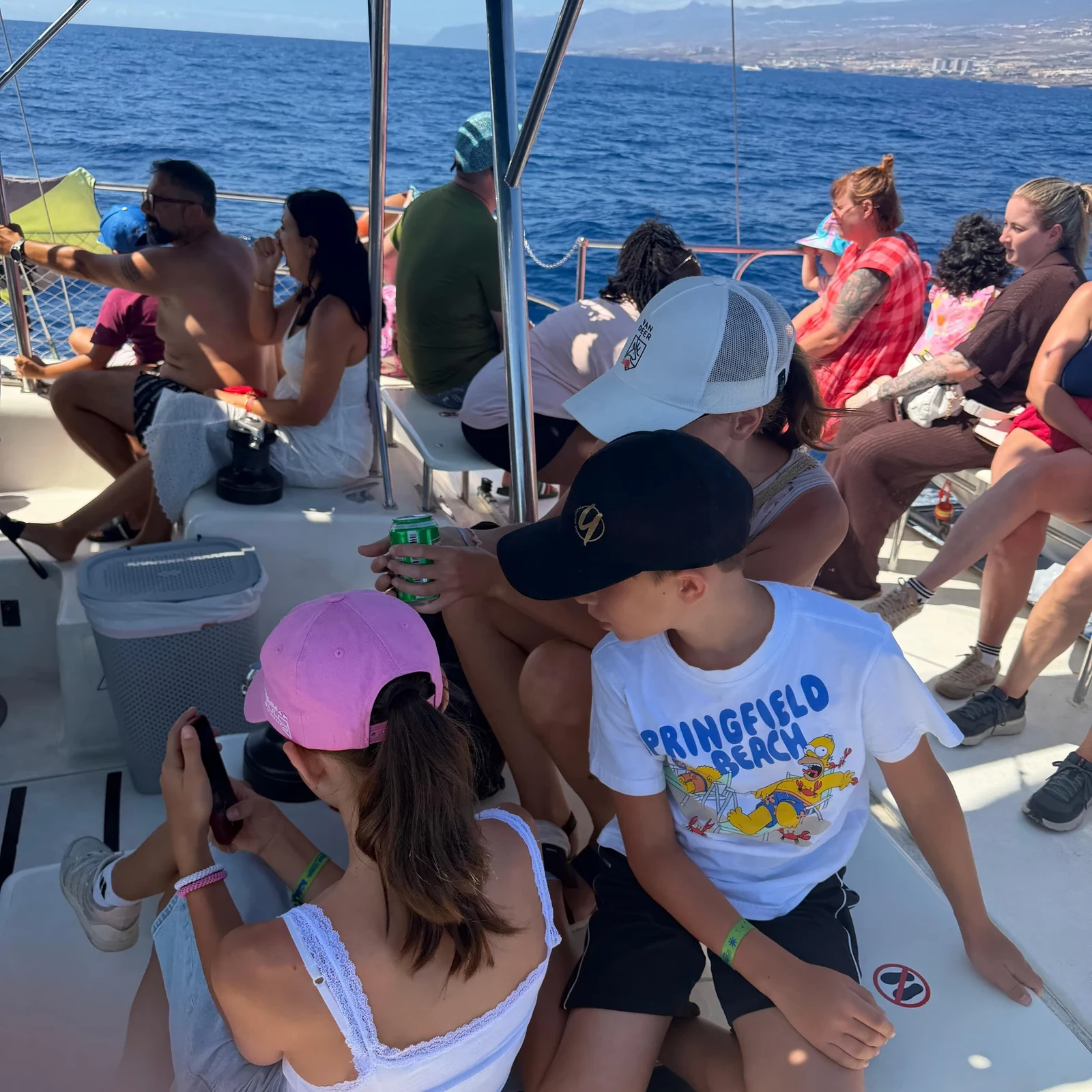 Whale and dolphin watching from Costa Adeje