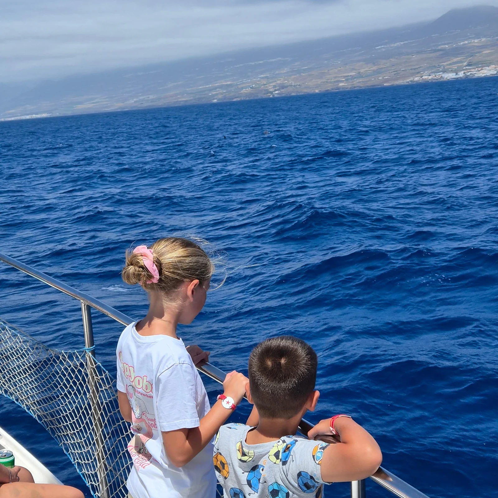 Whale and dolphin watching from Costa Adeje
